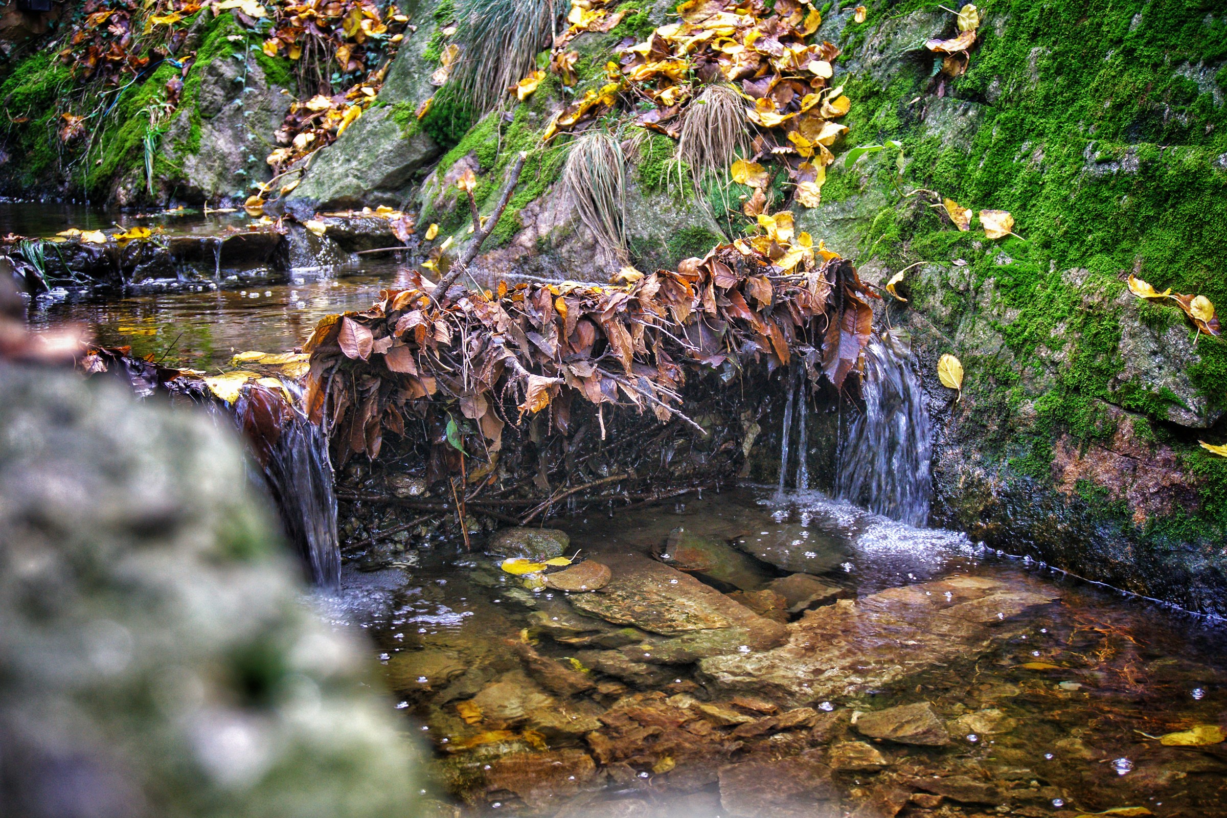 Autumn in Montestrutto