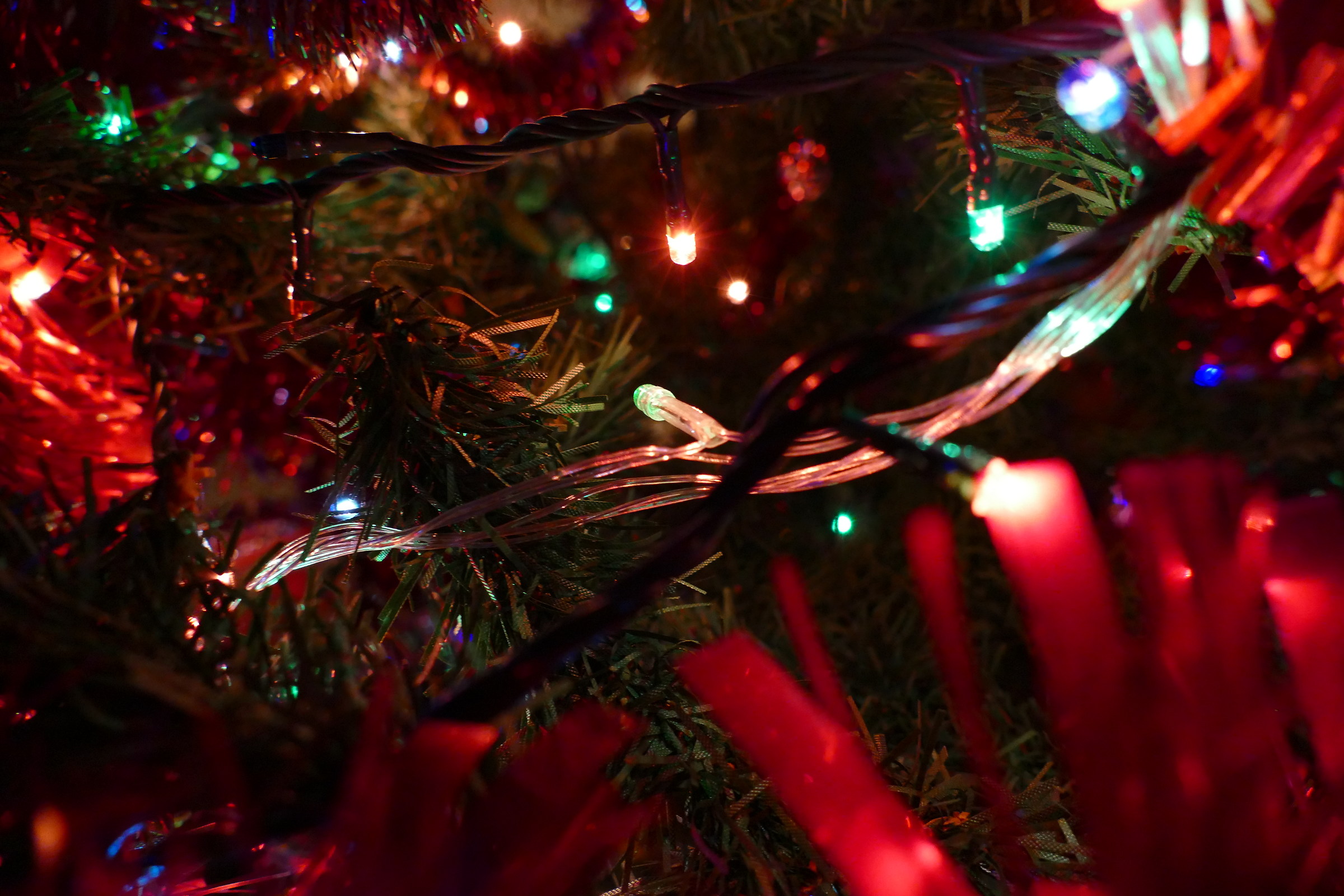 Dettagli dell'albero