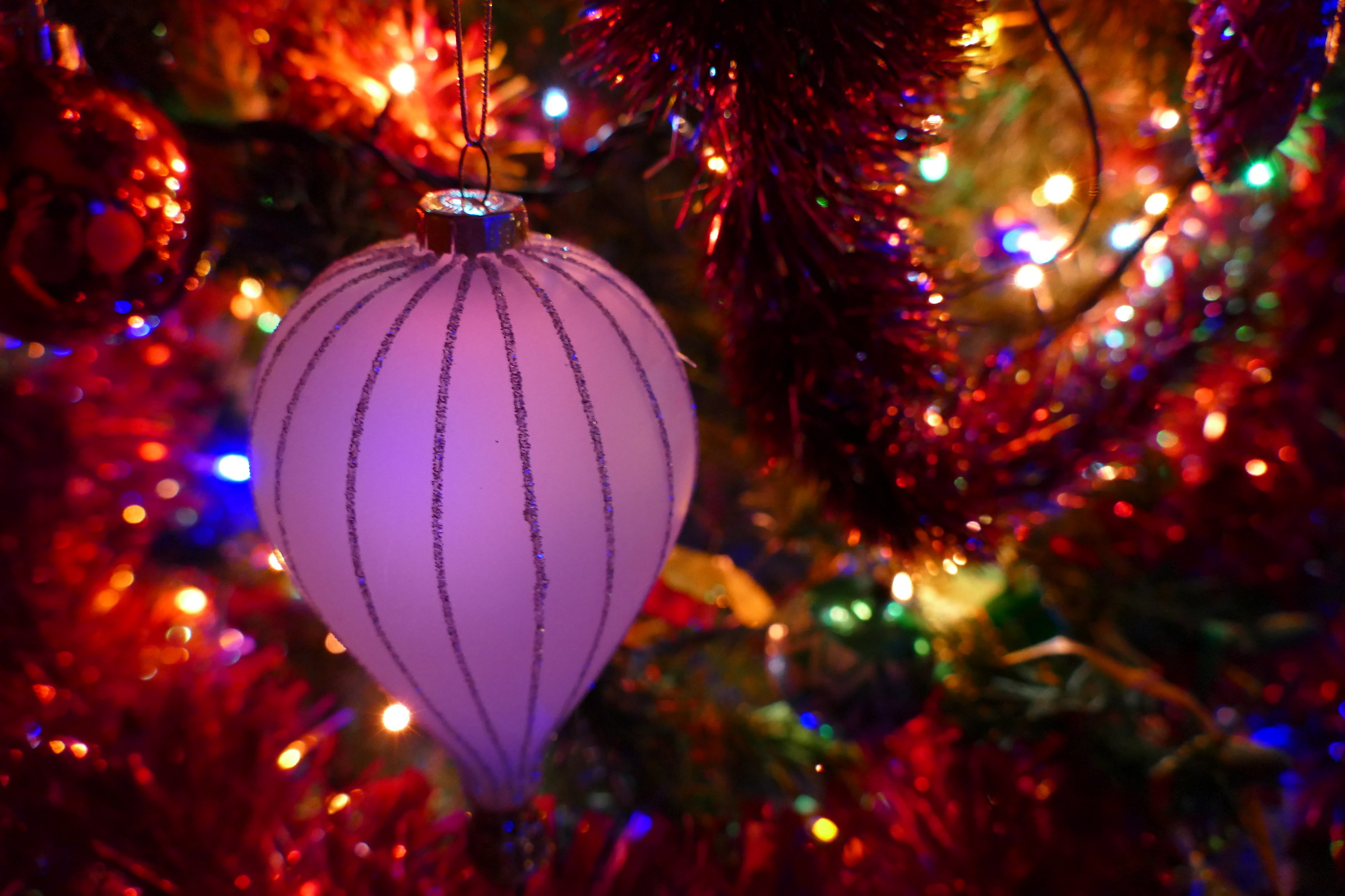 Dettagli dell'albero