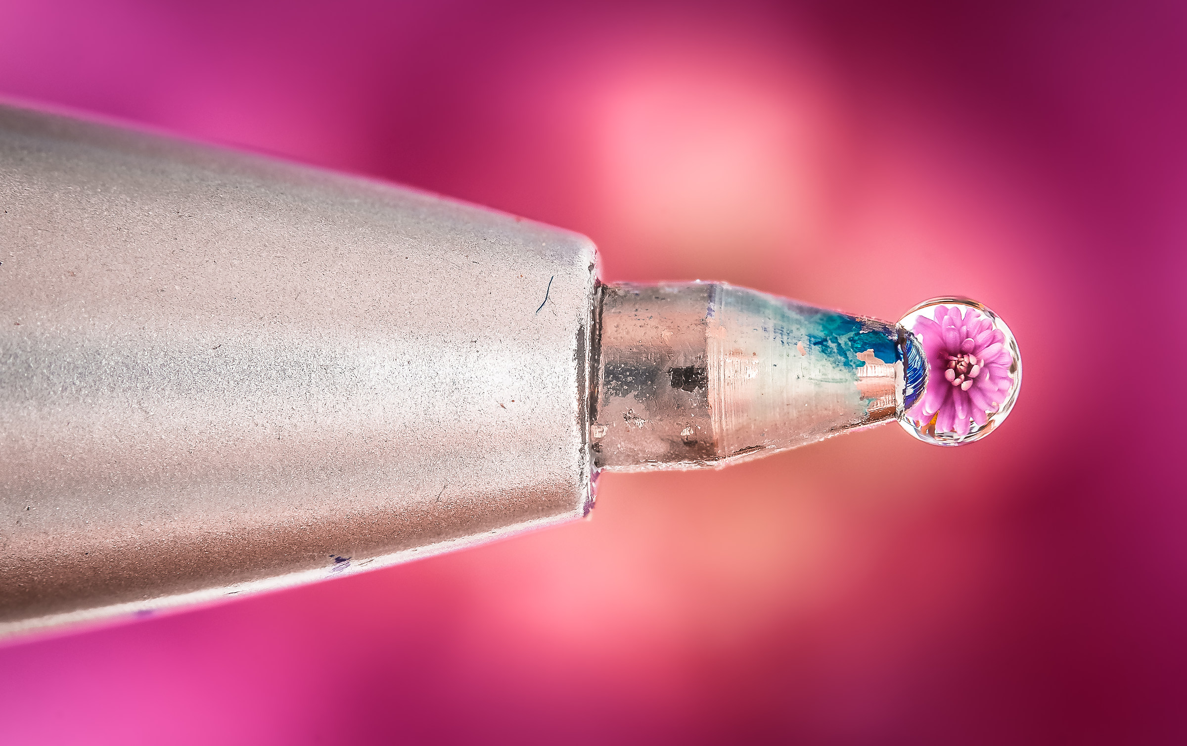 Drops Flowers Gocce Fiori Riflessi Mario jr Nicorelli