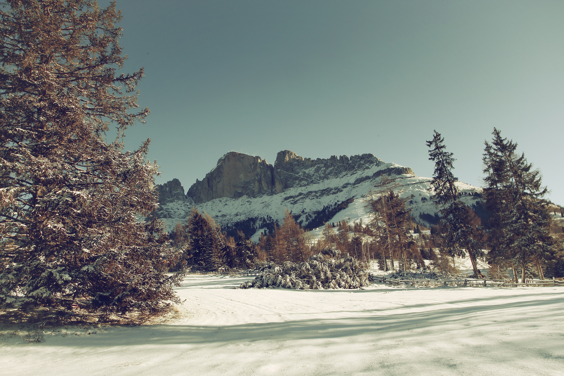 Roda of Vael this morning