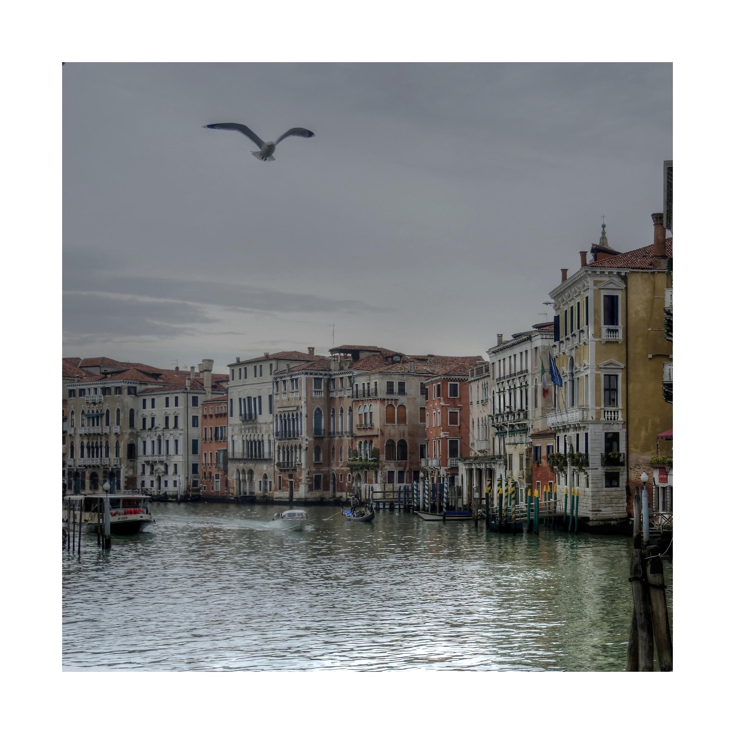 Simply Venice