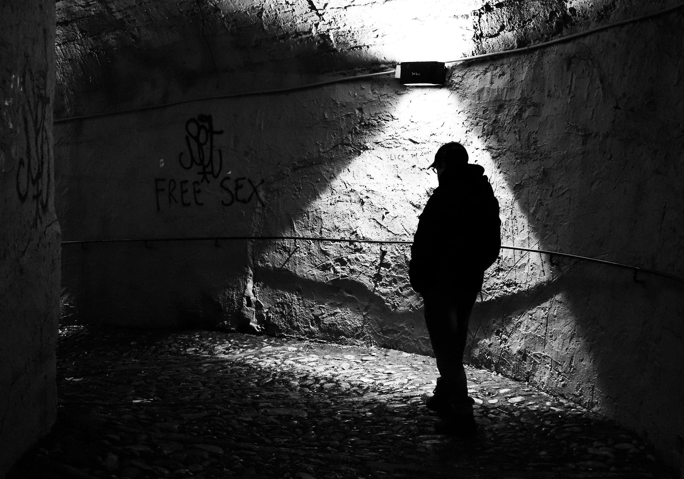 Creatures of the Night