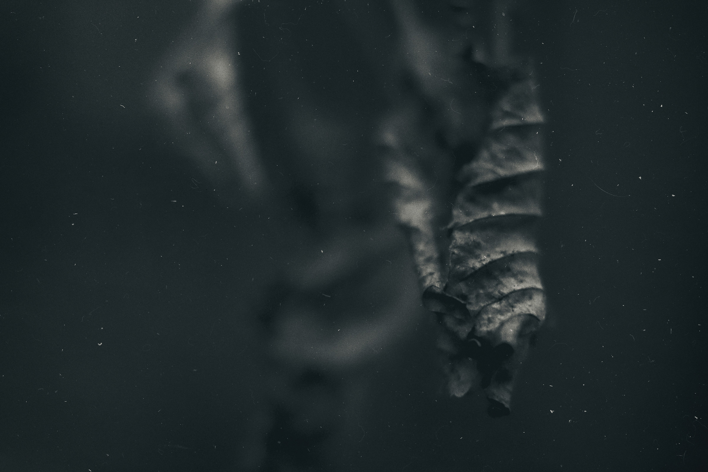 The fragile art of existence