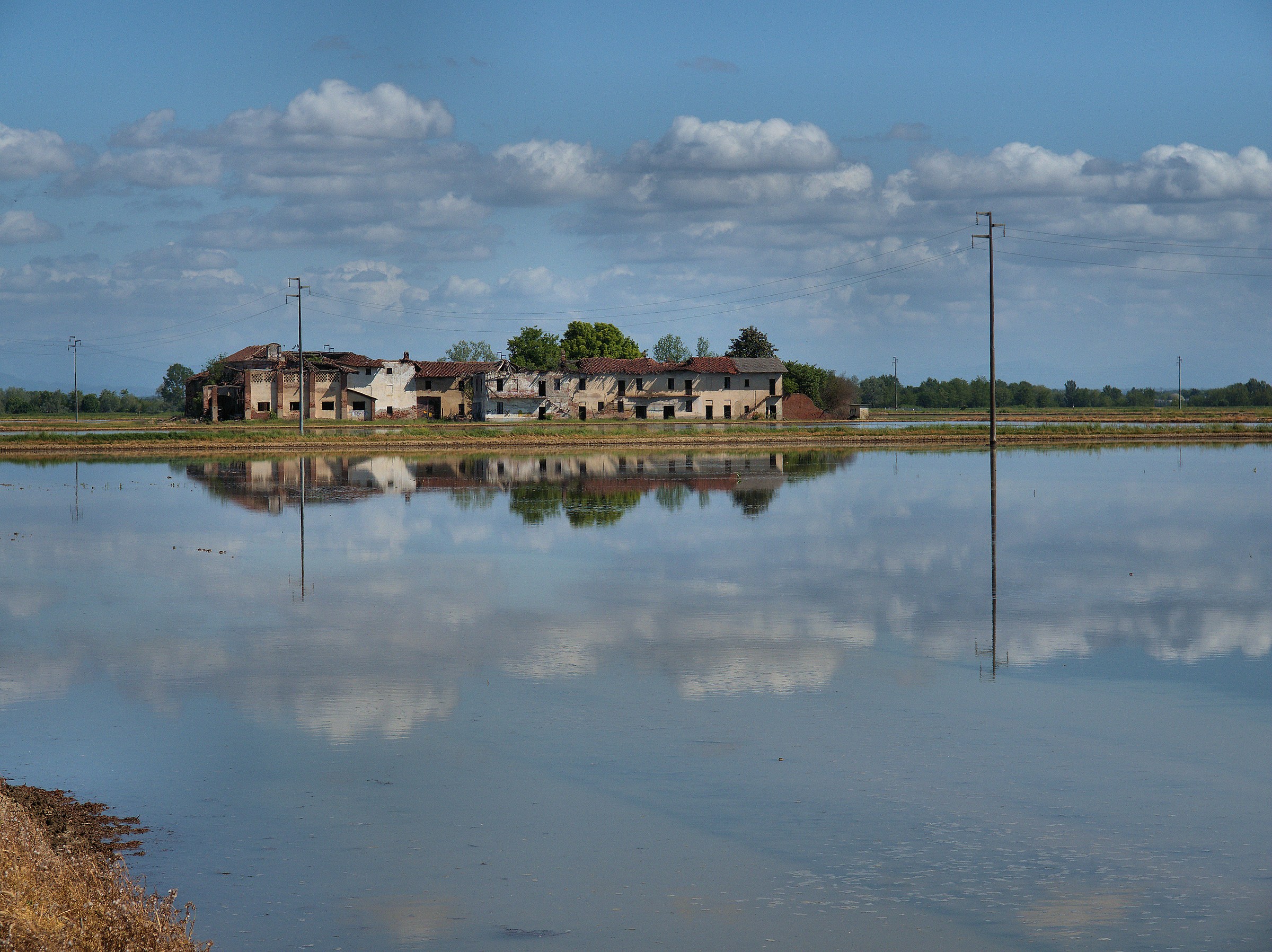 primavera nella bassa vercellese