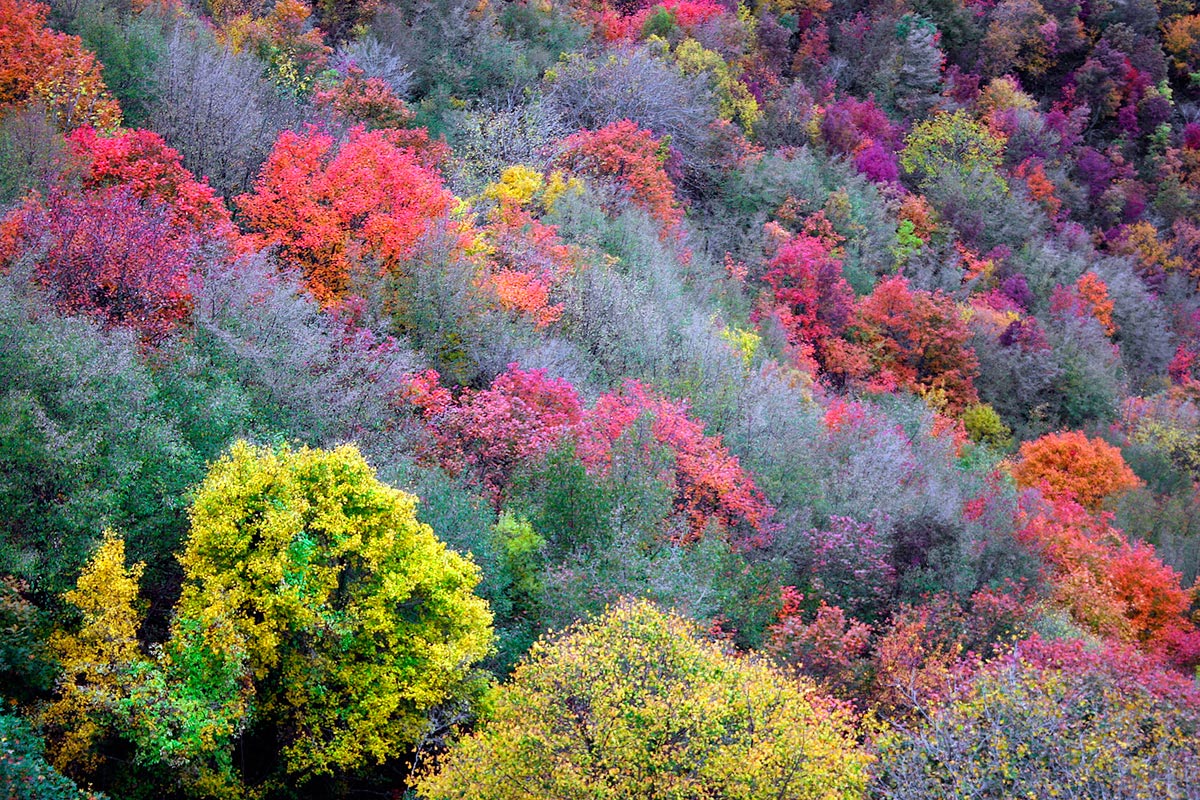 Autumn Magic 2 - mountains Prenestini