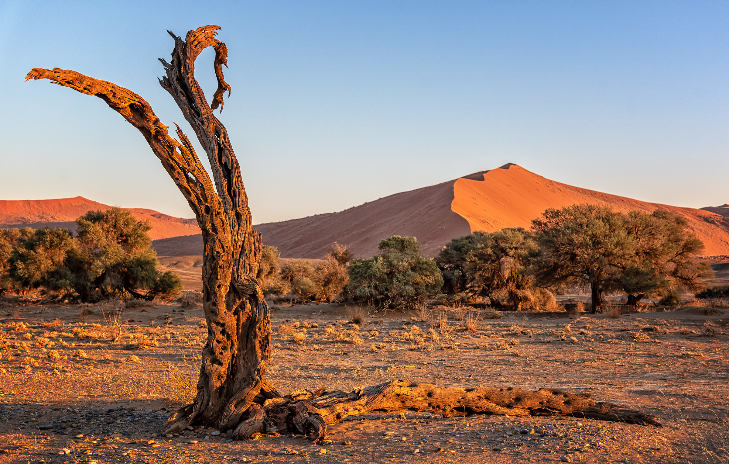 Natura esclusiva a Sossusvlei