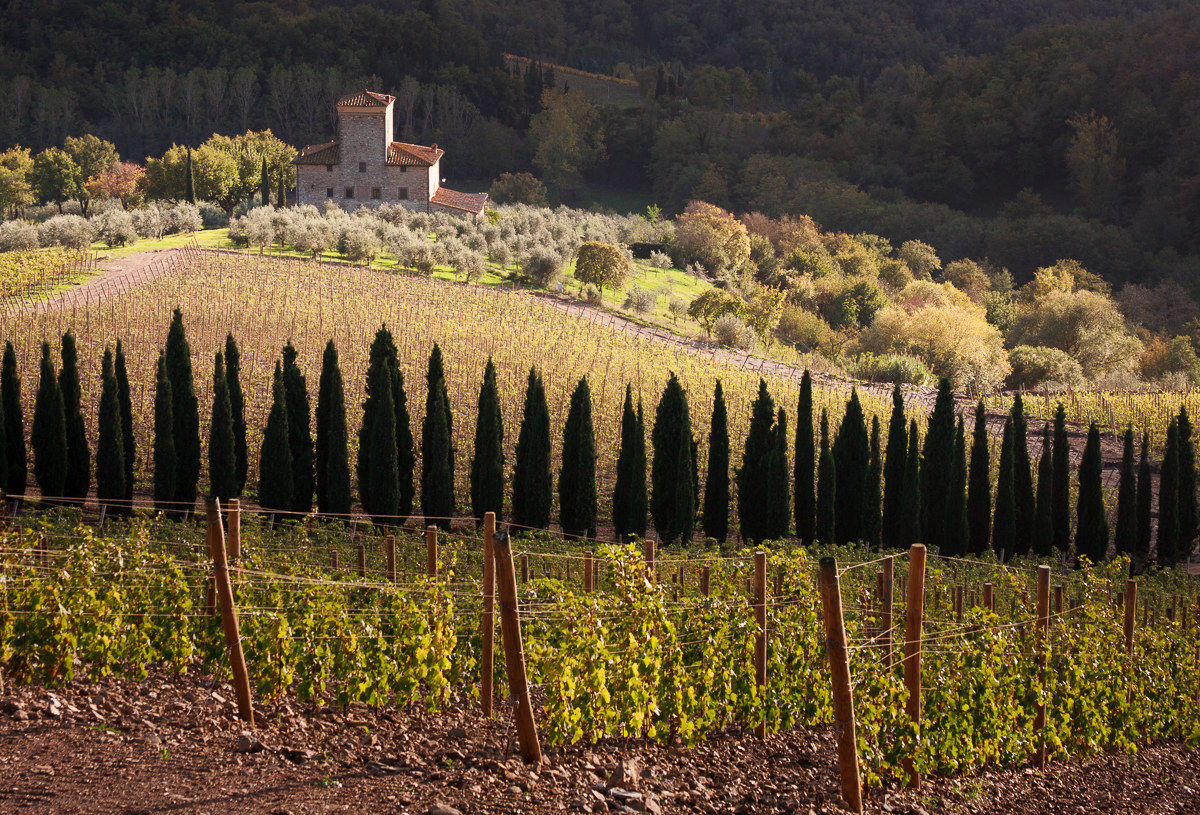 Cartolina toscana ...