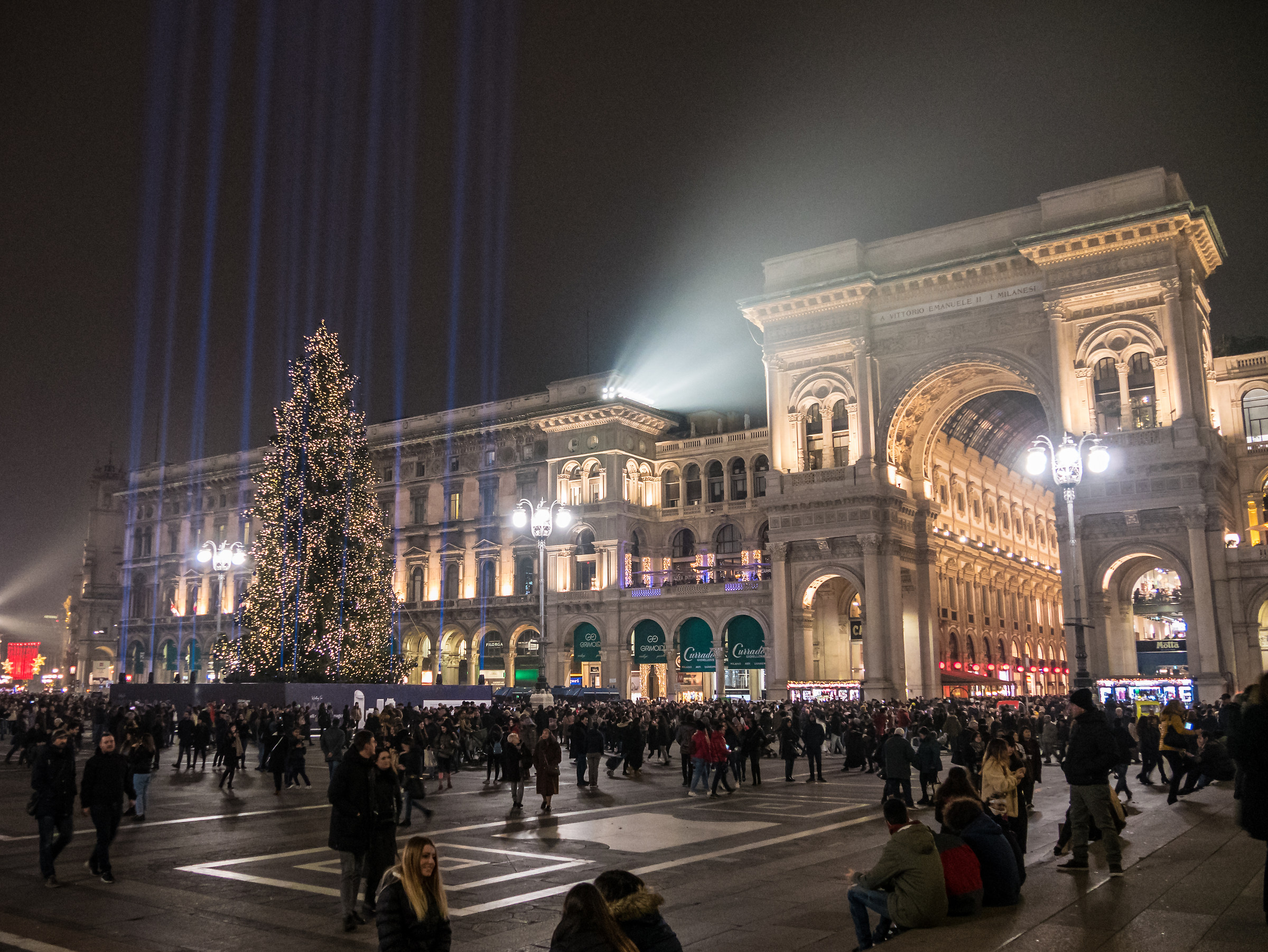 Christmas Tree in Dome