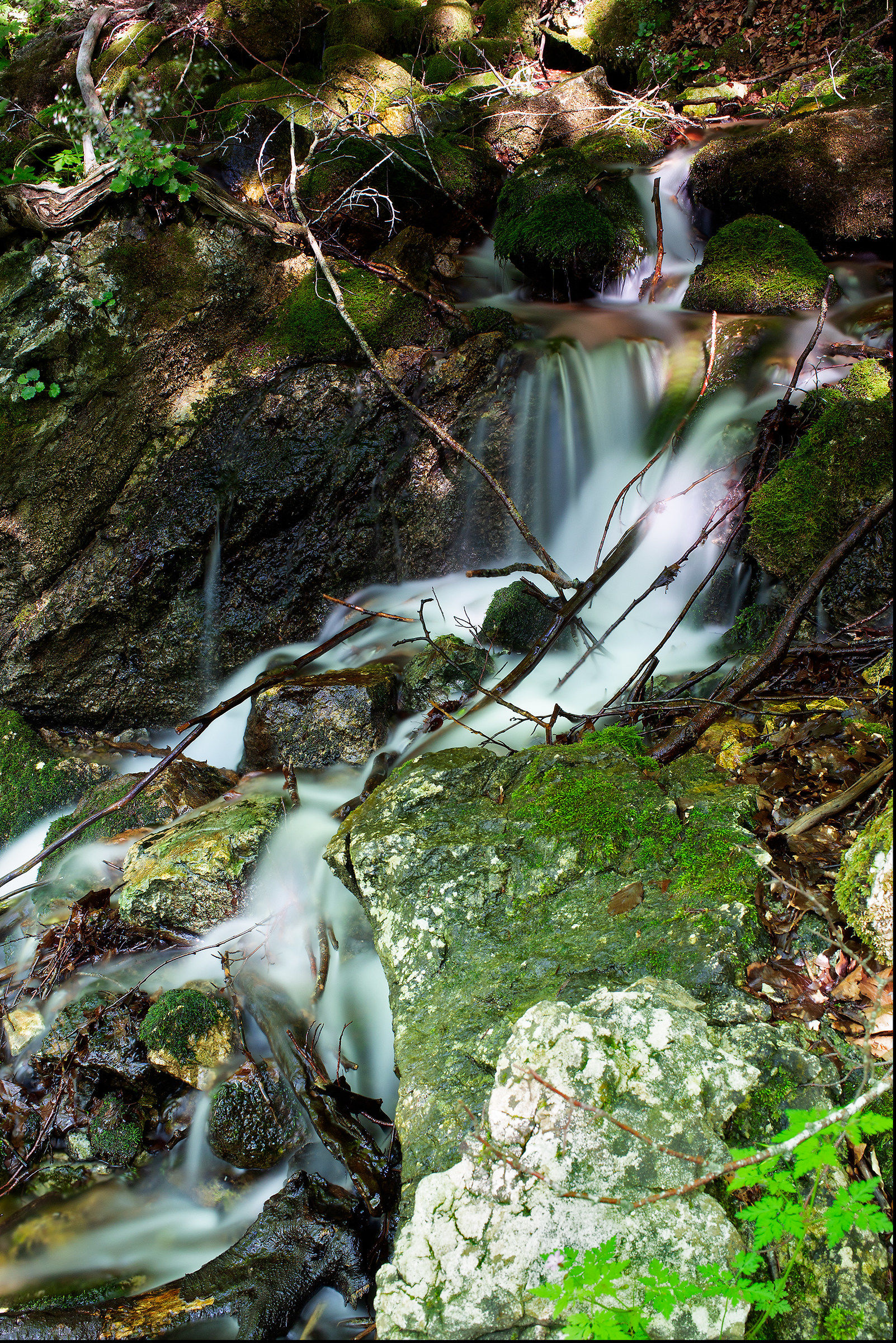 Ruscelletto (P. N. Abruzzo)
