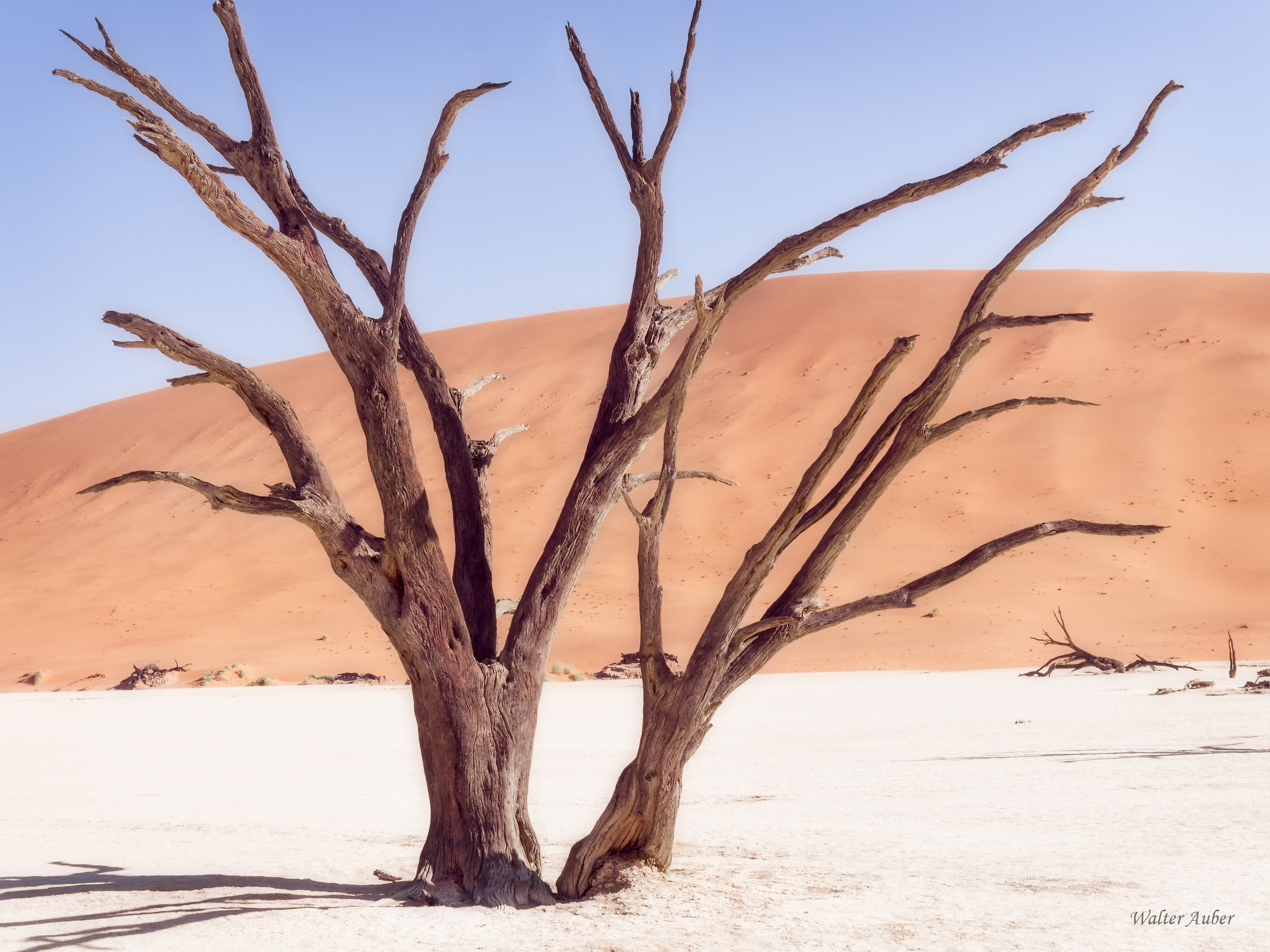 Namibia deserto