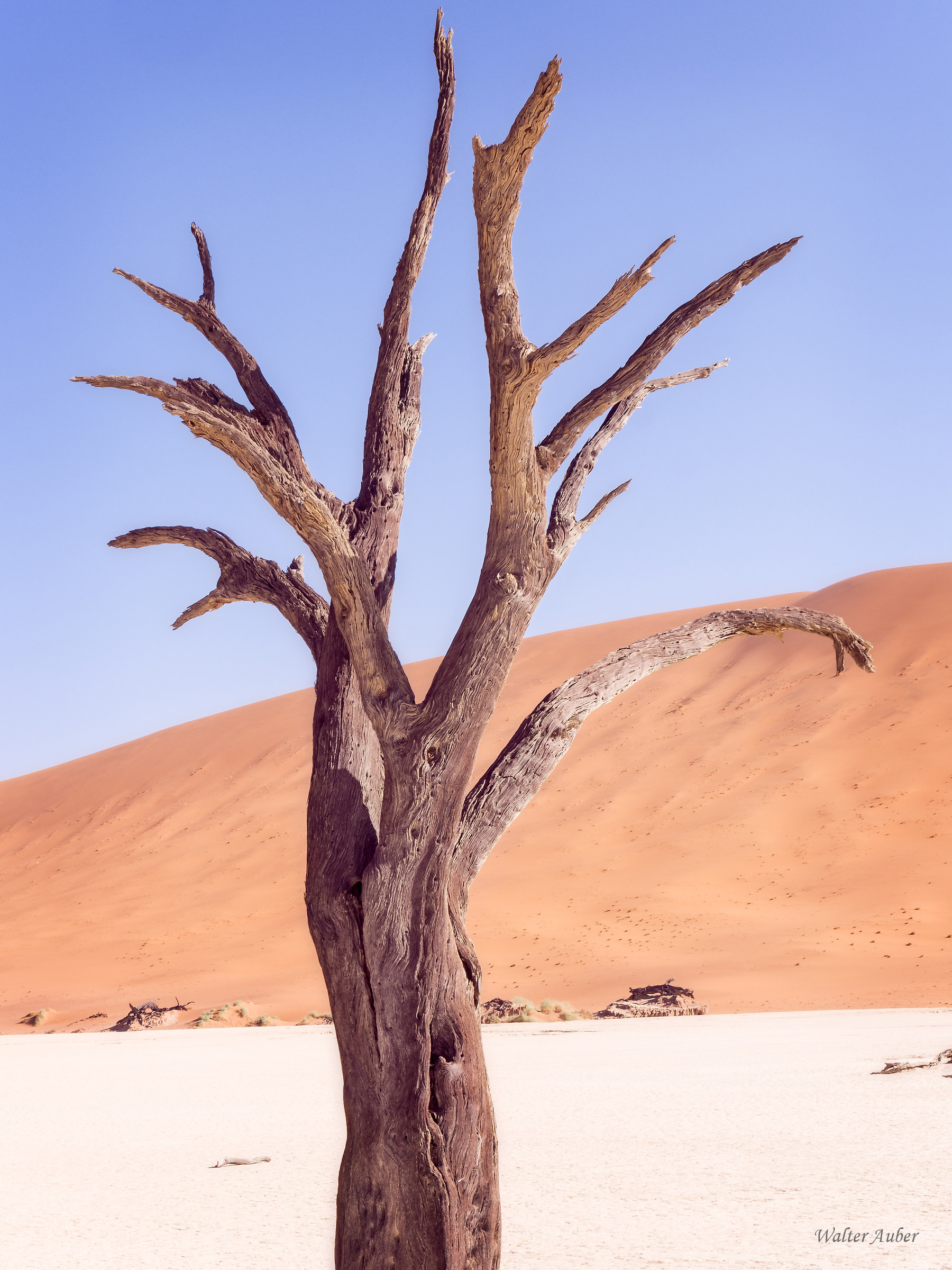 Namibia deserto
