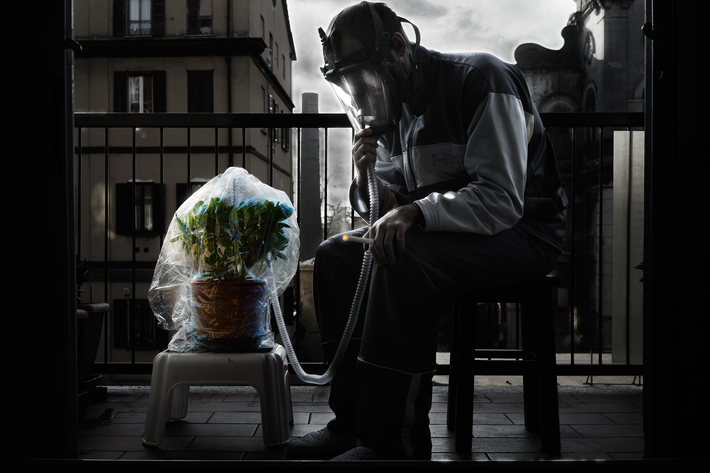 The Cure (in progress)