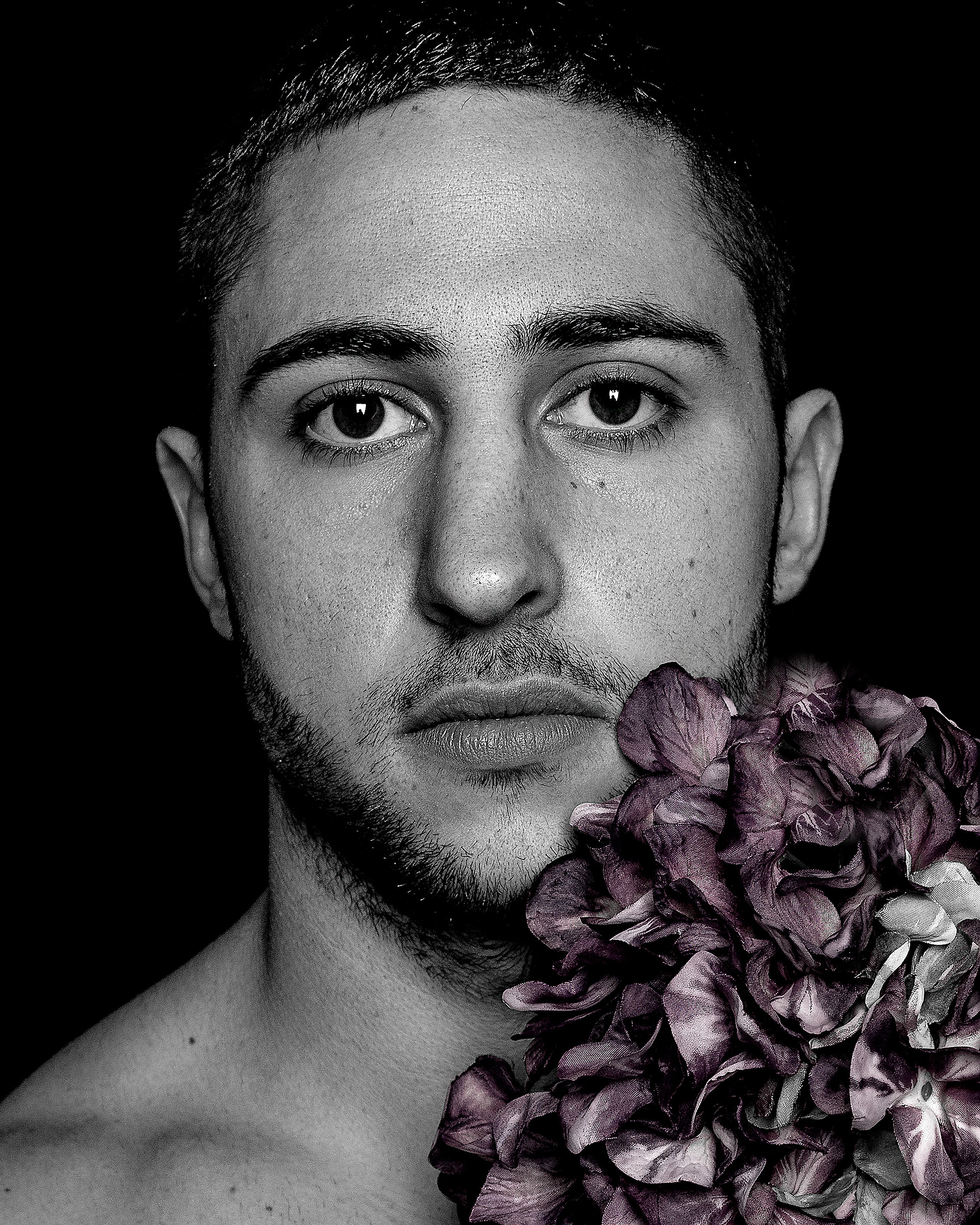 The boy of the Hydrangeas