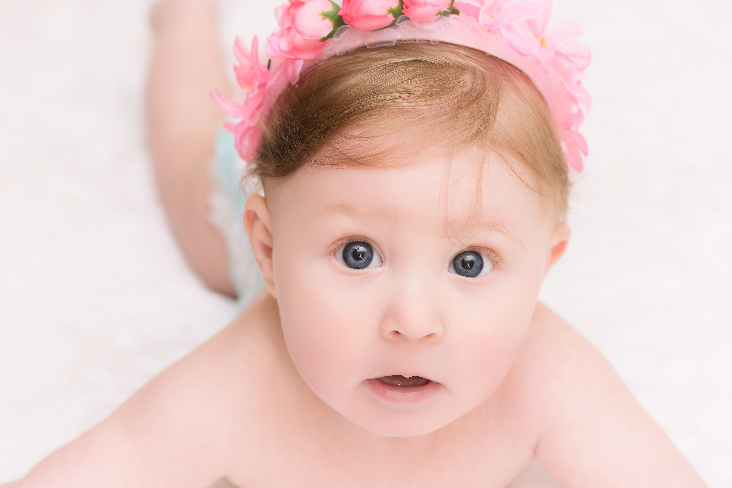 The Little Francesca