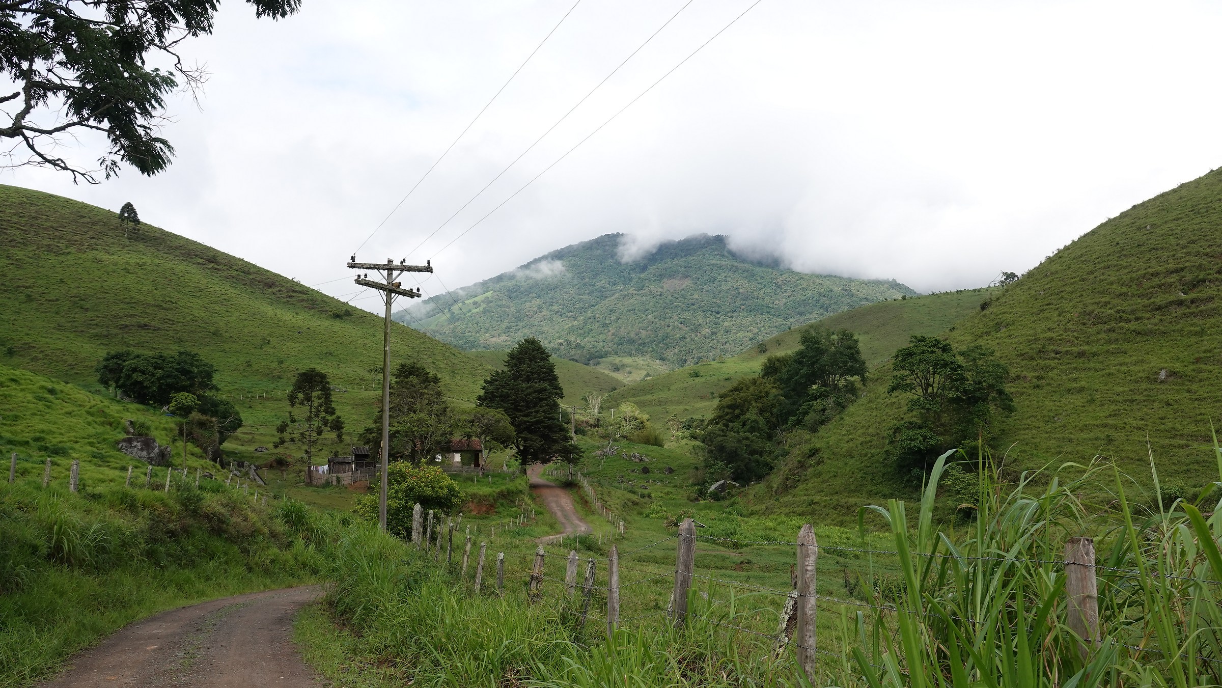 I remember Green Mountains