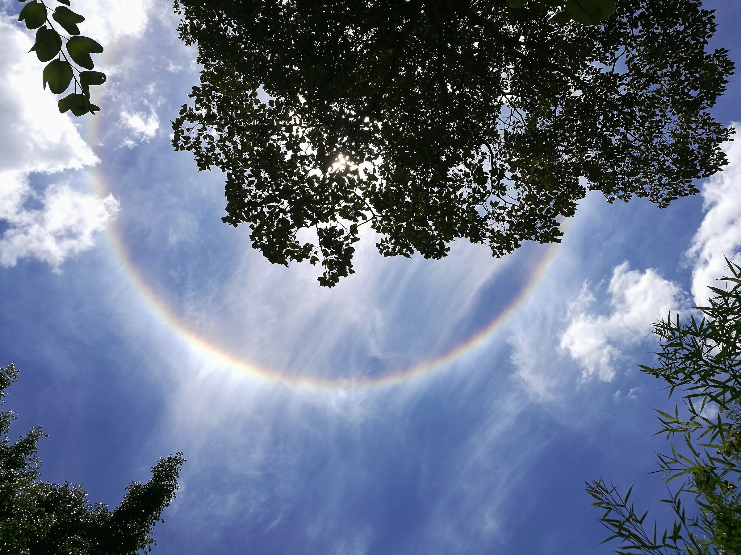 Circular Rainbow