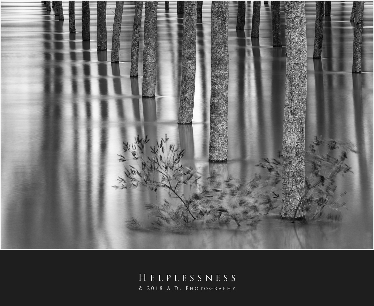 Helplessness