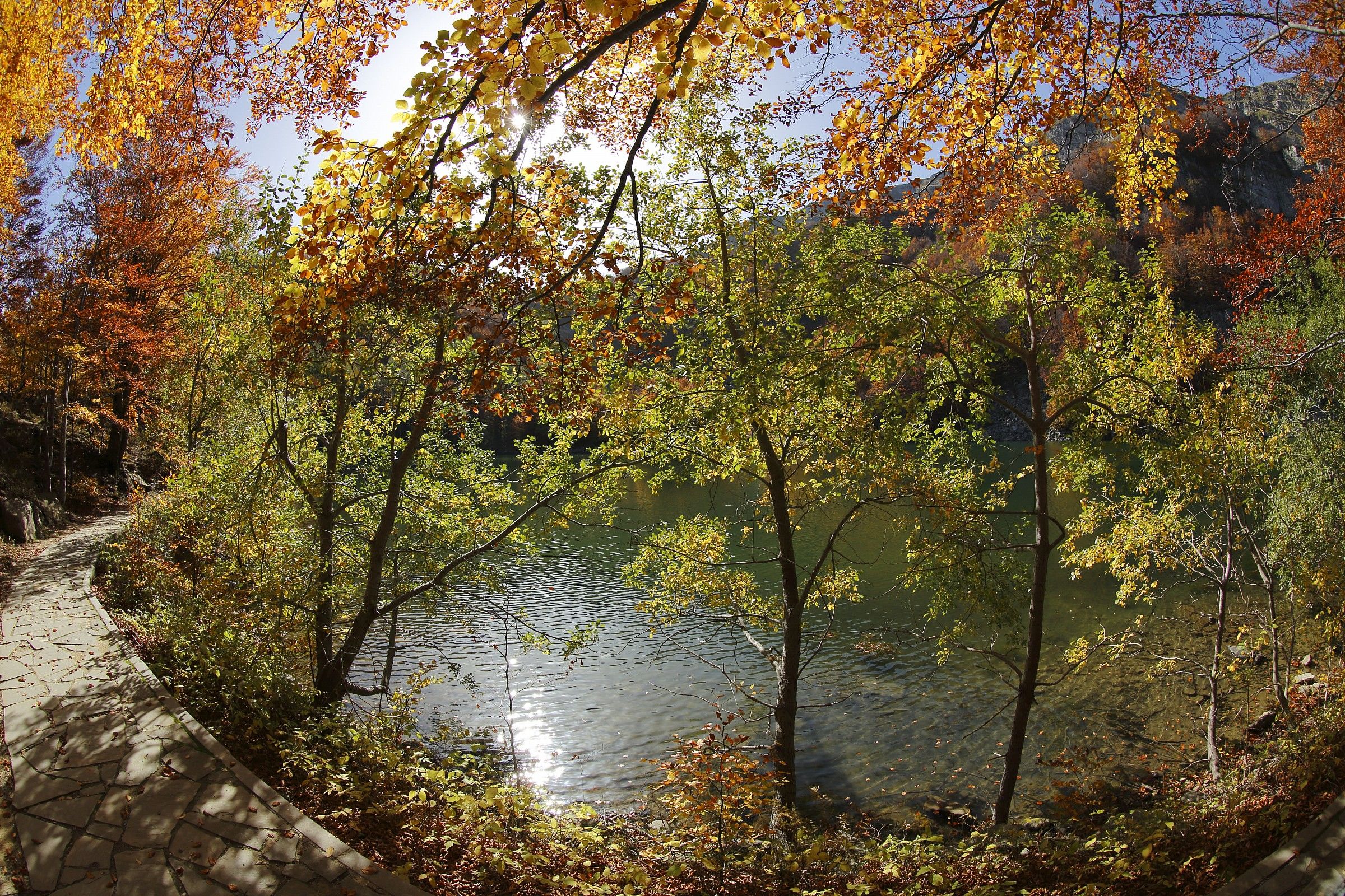 Fall Poetry .........