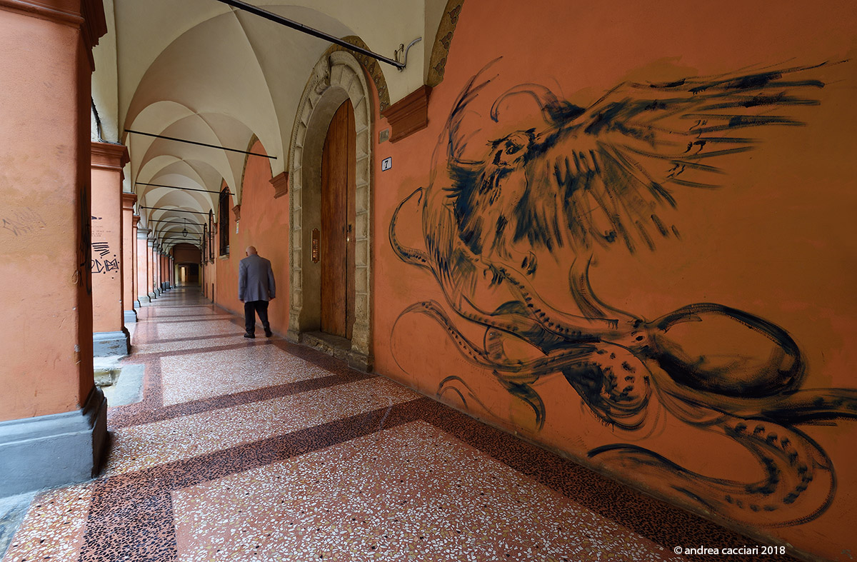 Il Gufo sulla Piovra