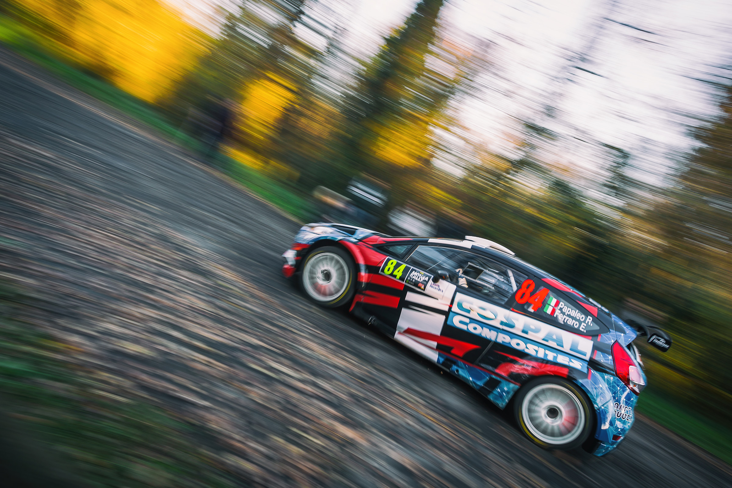 Papaleo-Ferraro - Ford Fiesta R5