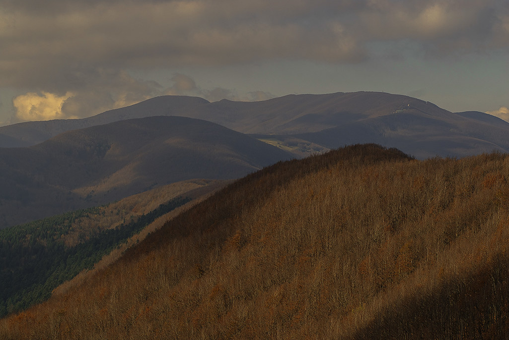 pn foreste casentinesi  poggio scali