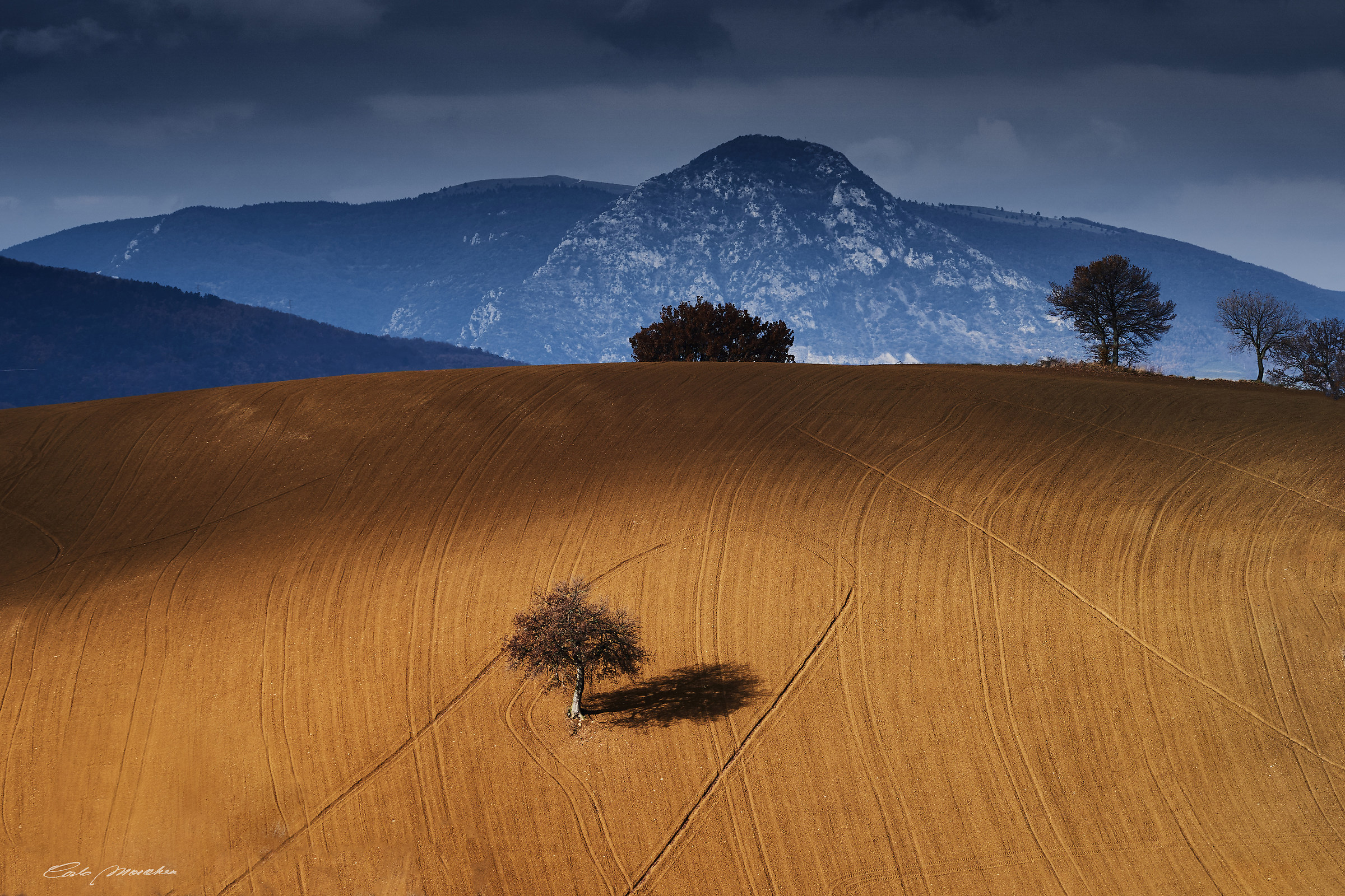 Waiting for the winter