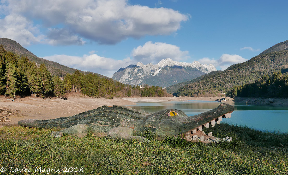 Coccodrillo del Cadore