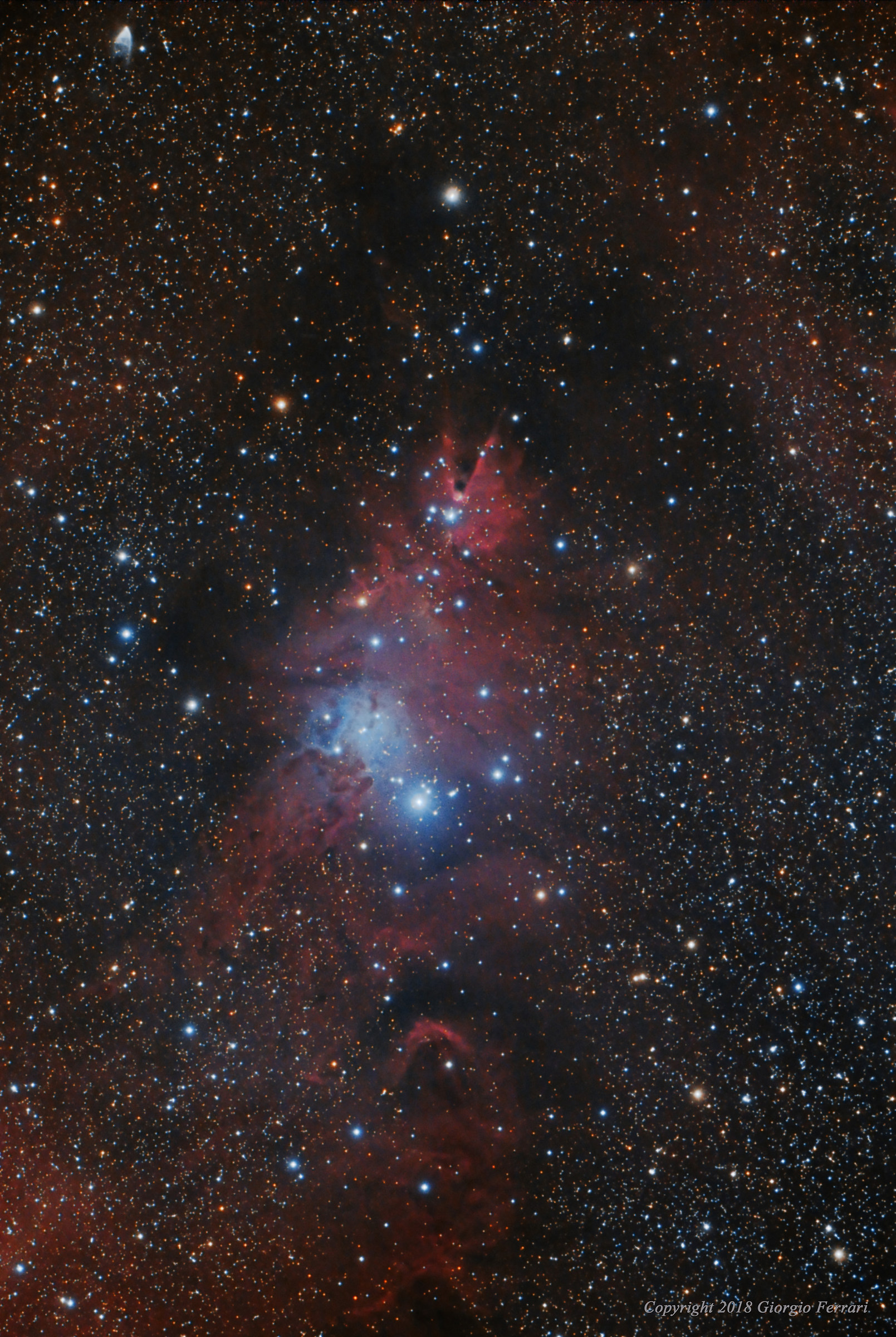 NGC2264 Nebula Cone and Christmas tree
