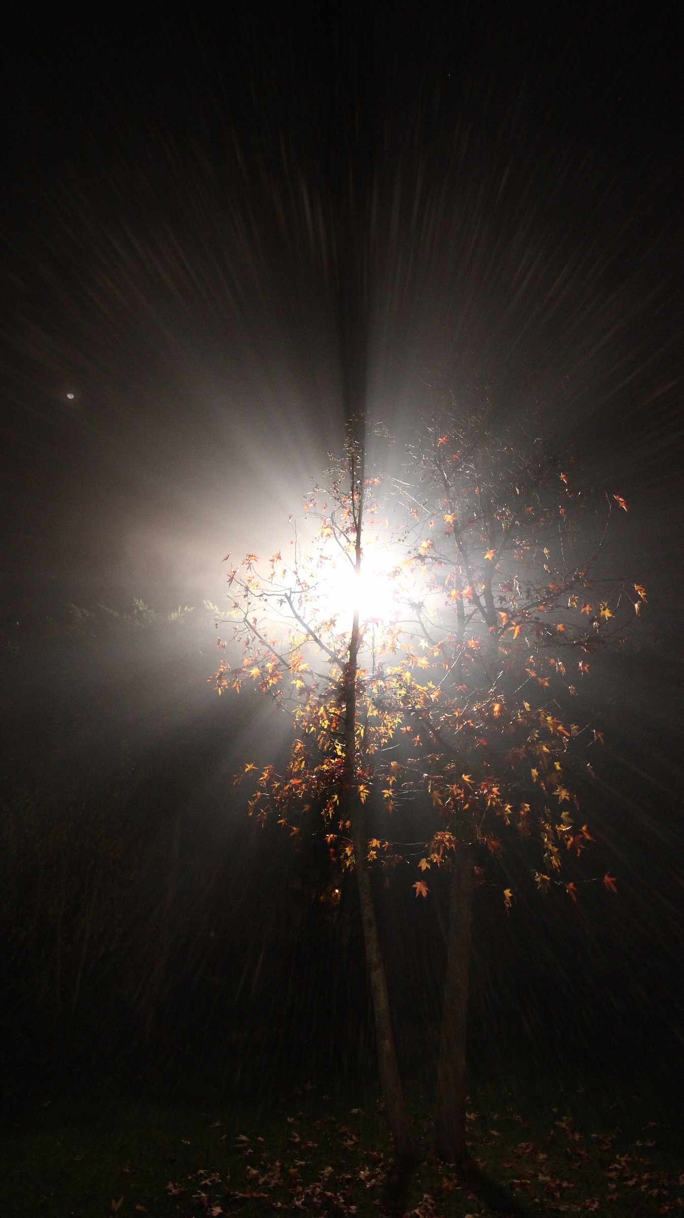 the power of the light