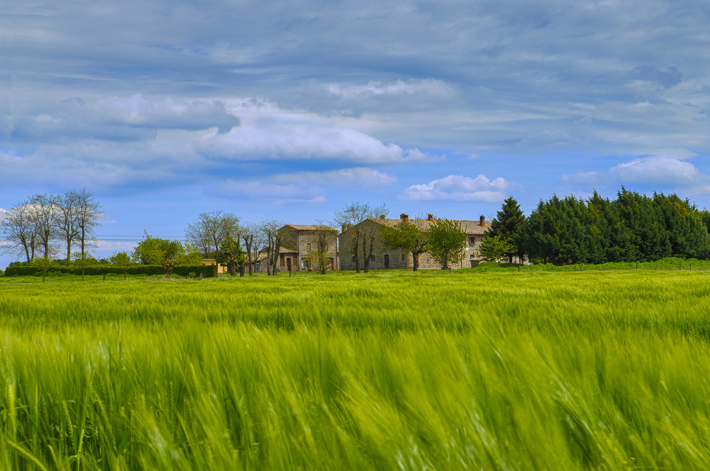 Kissed by the wind....