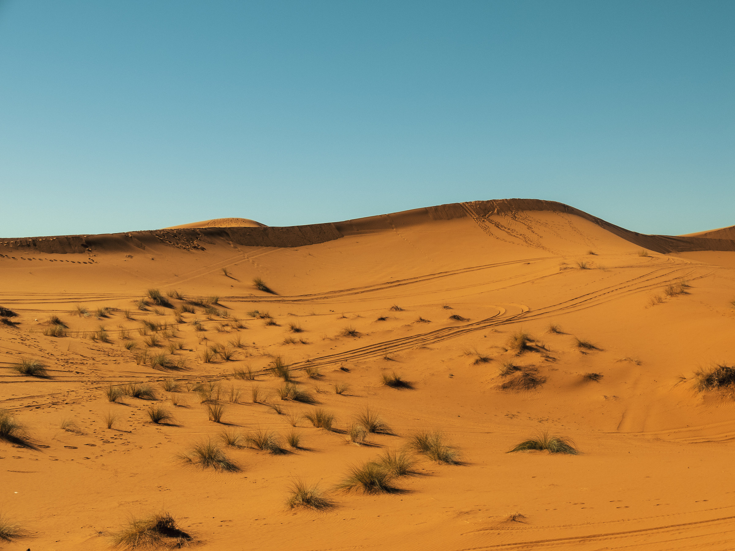 Deserto - Merzouga - Marocco