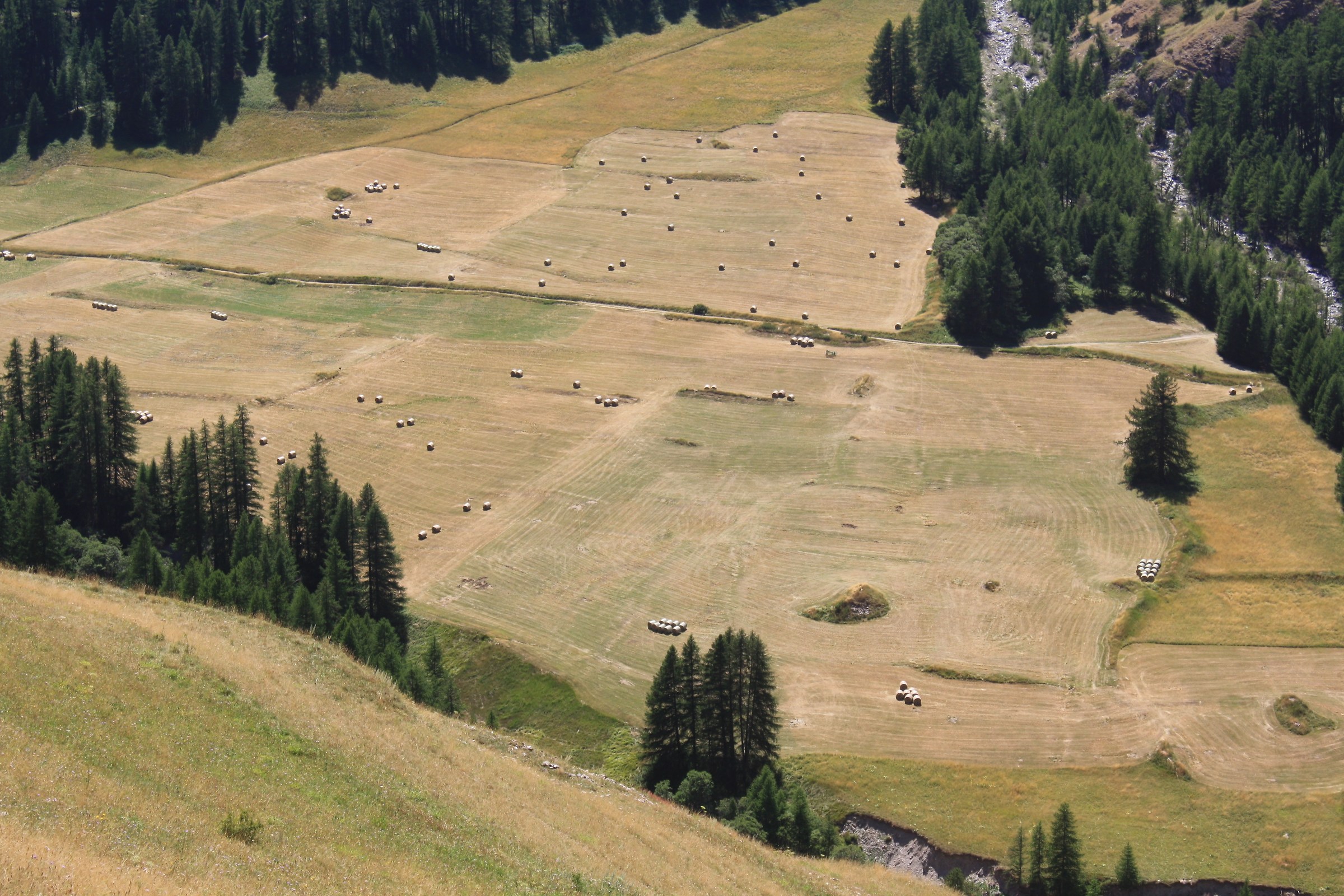 Geometrie asimmetriche nei pascoli di St. Vèran