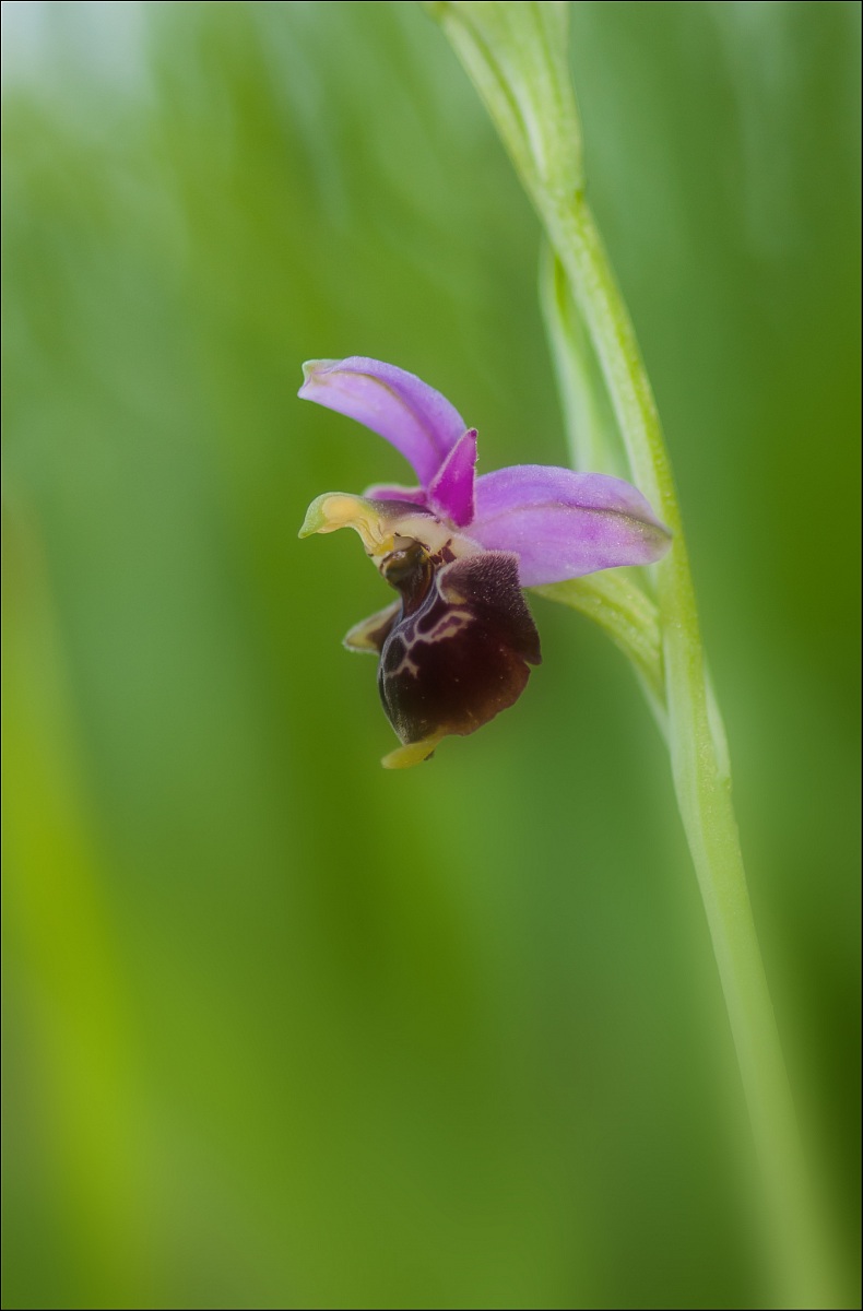 un po' fuori stagione..