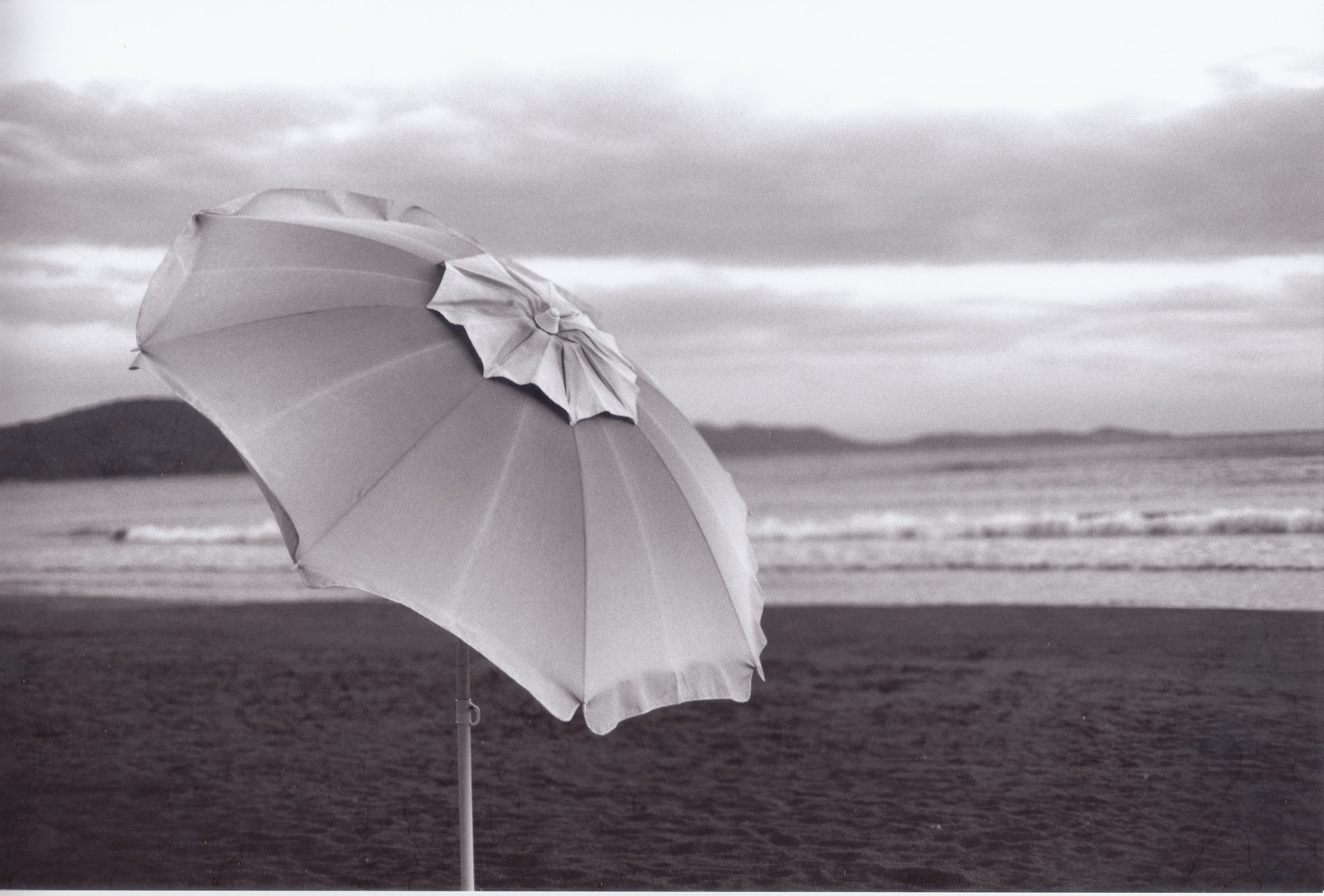 Soft (analogico pellicola 35mm Ilford delta 100)