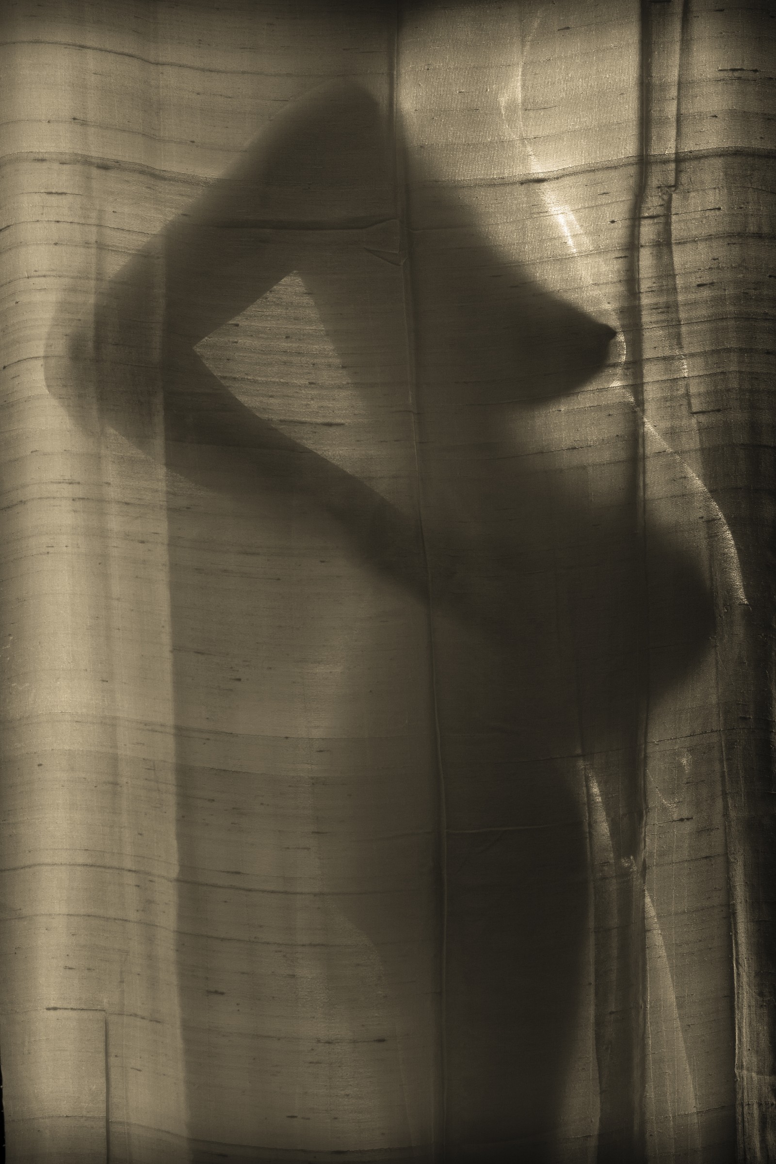 novemesi trasparenze