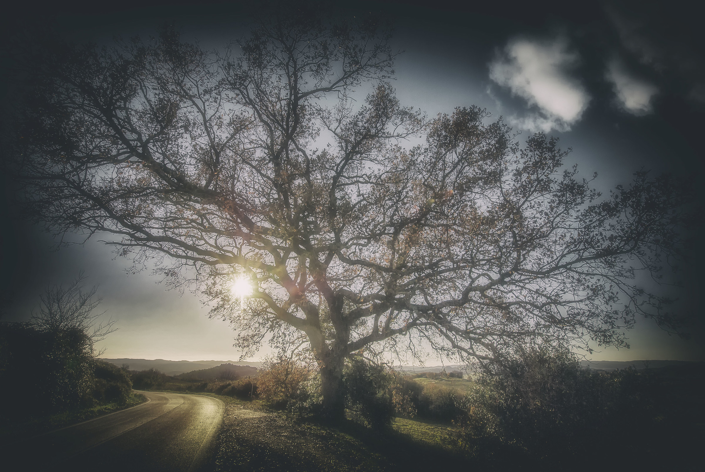 La Quercia..dai tratti vagamente vintage