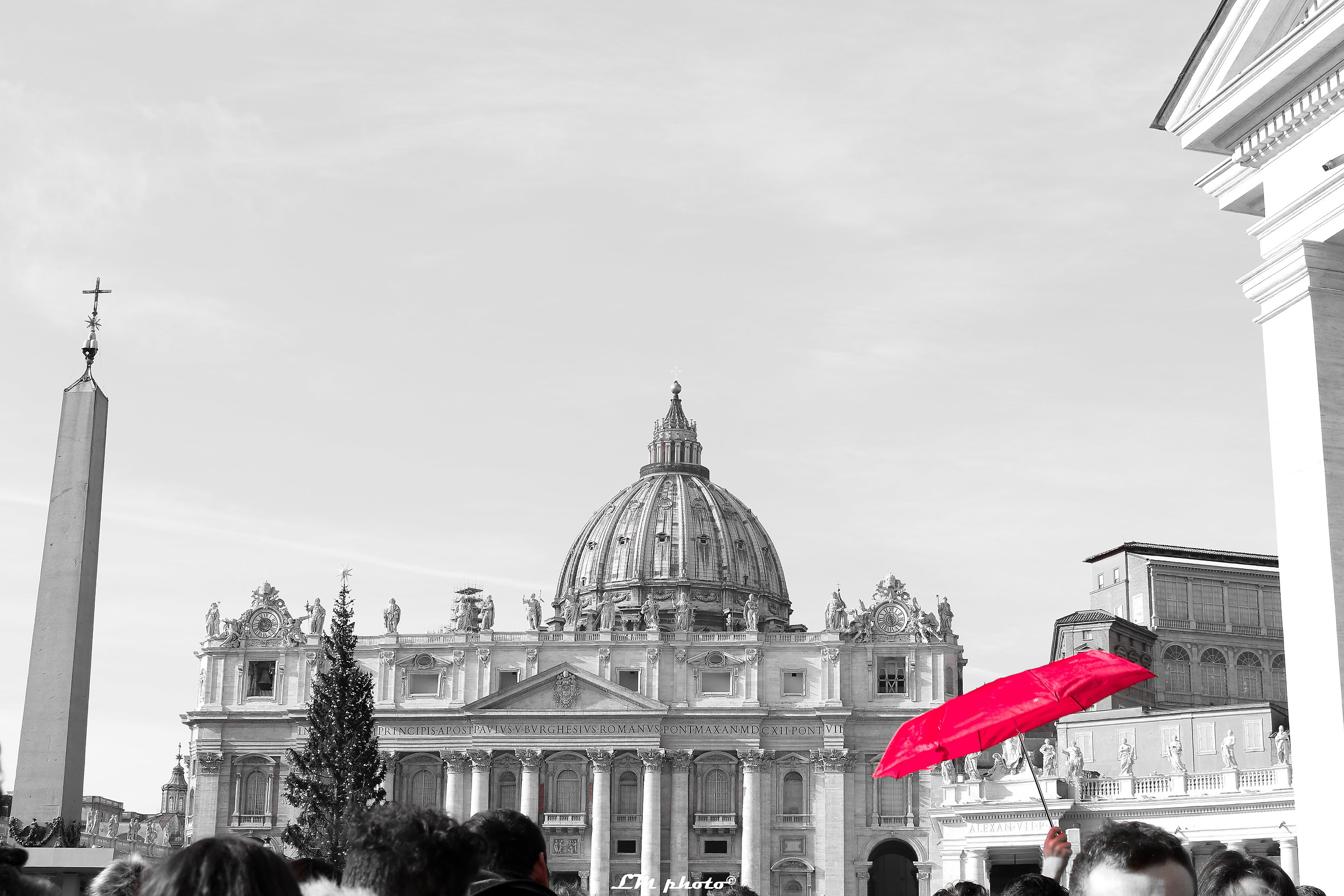 Black White and Colors