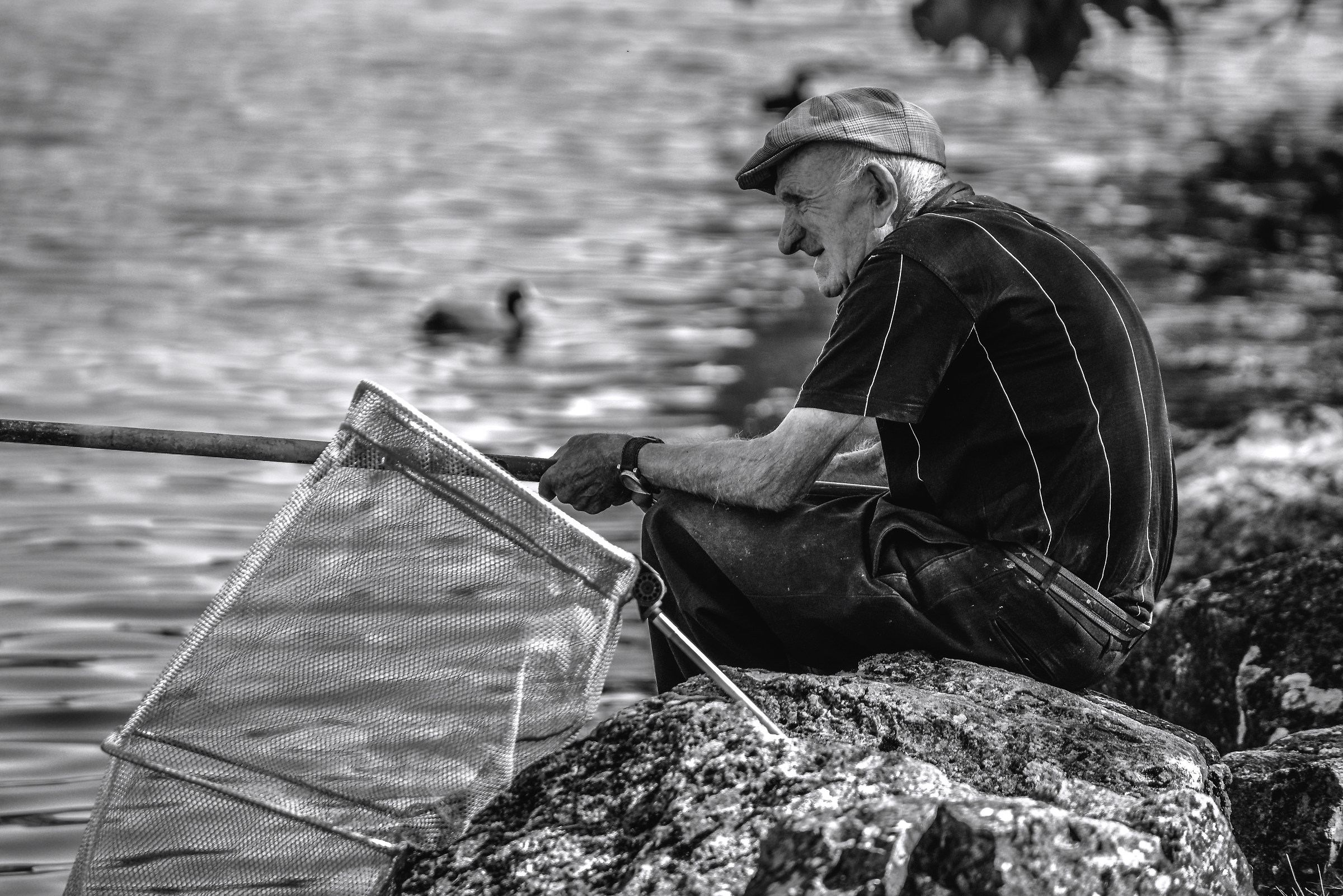 The Fisherman