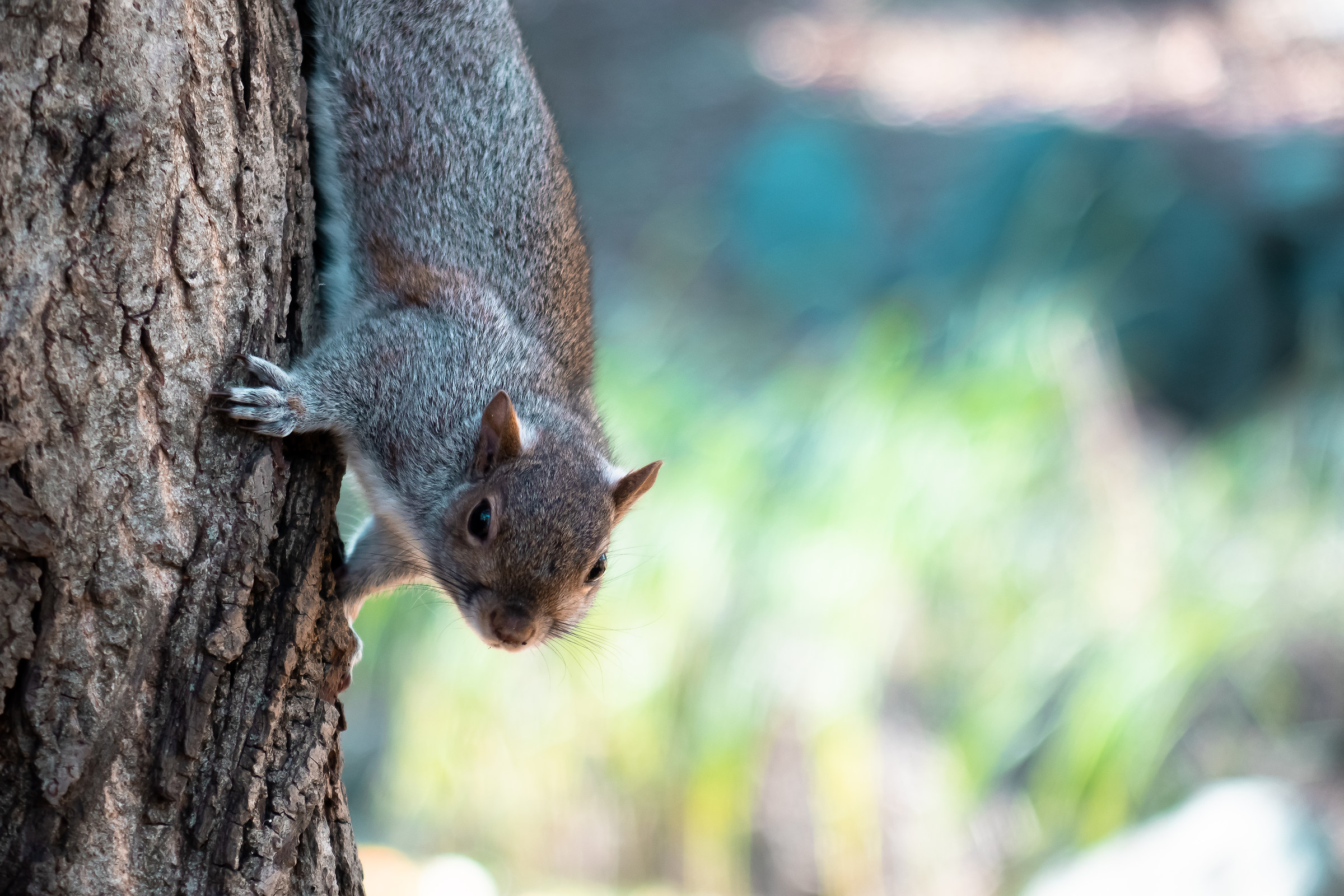 Let's find something to eat