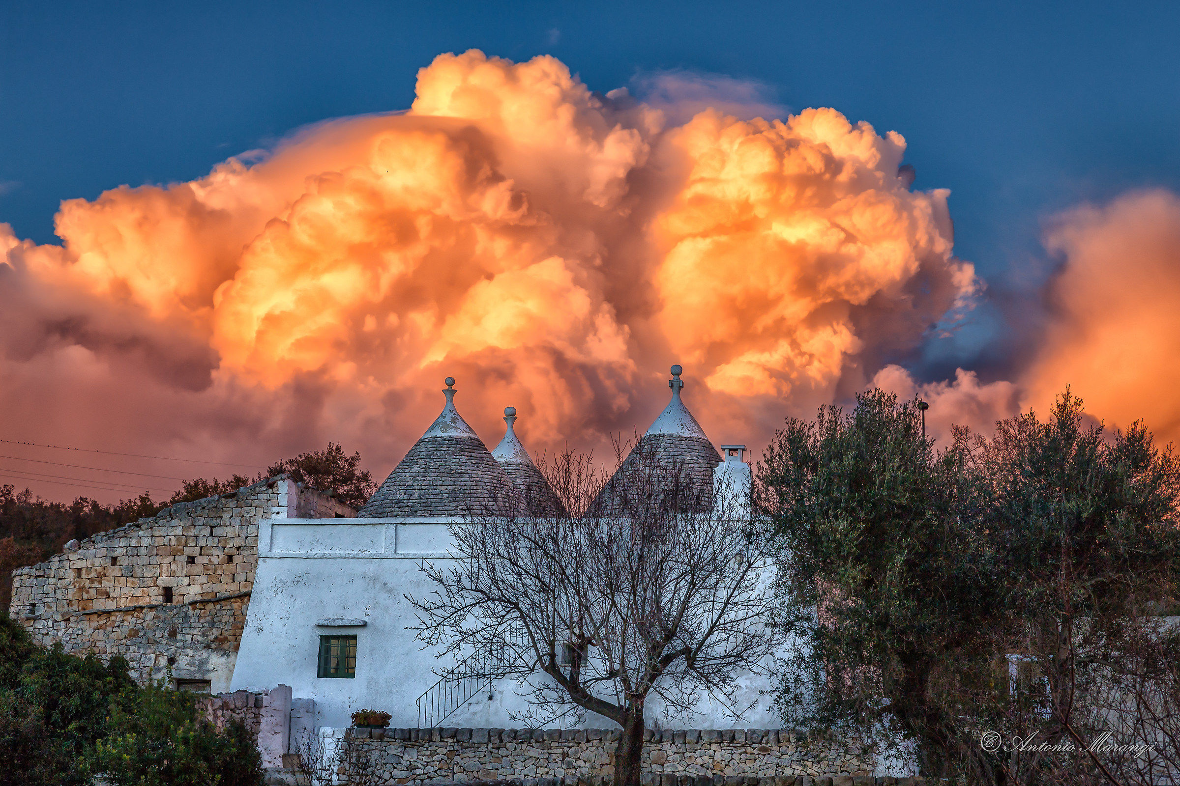 esplosione di colore