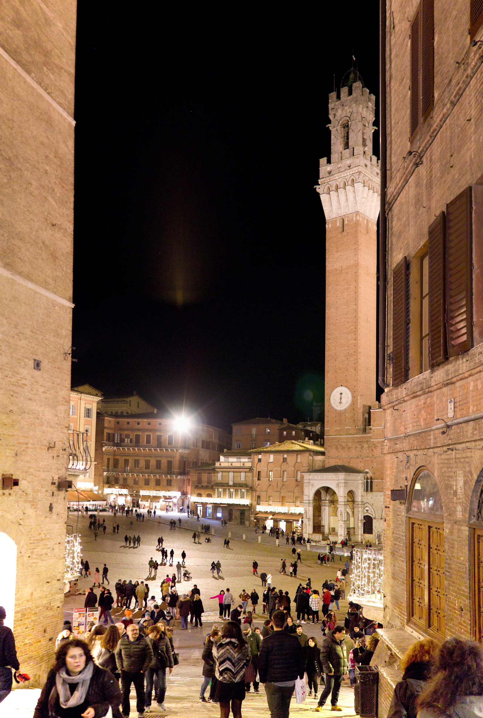 The field at Christmas