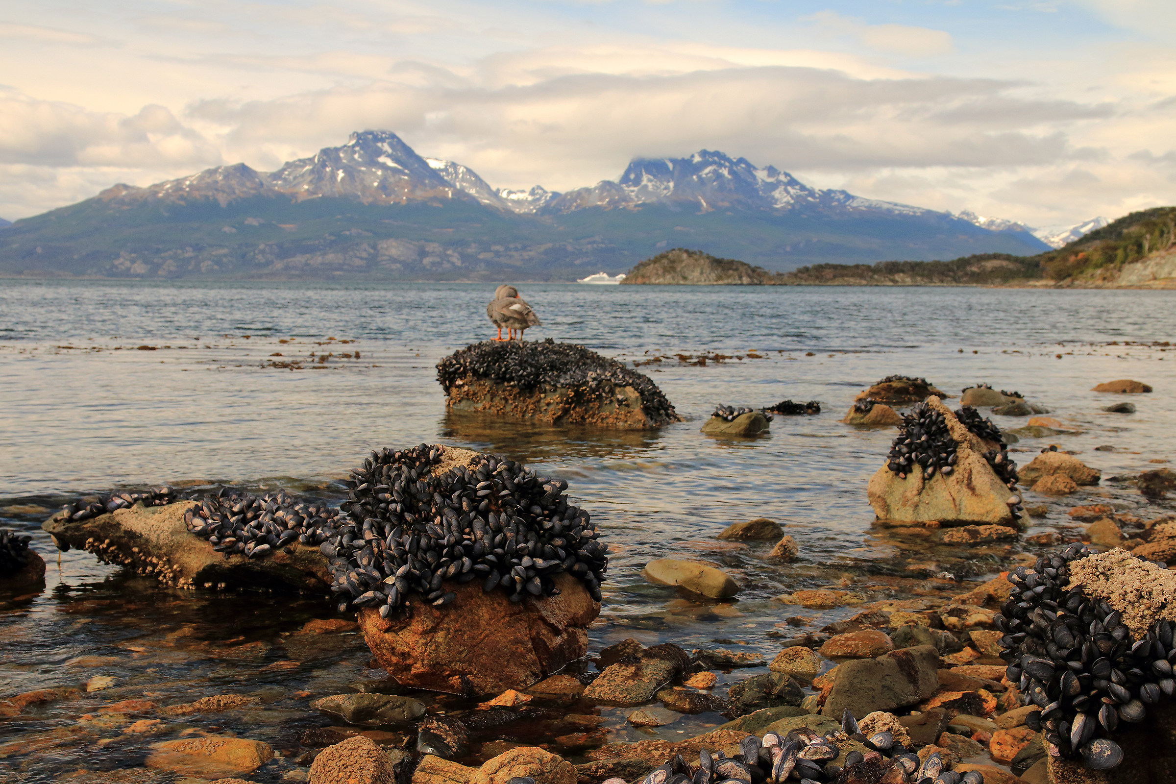 baie di Ushuaia