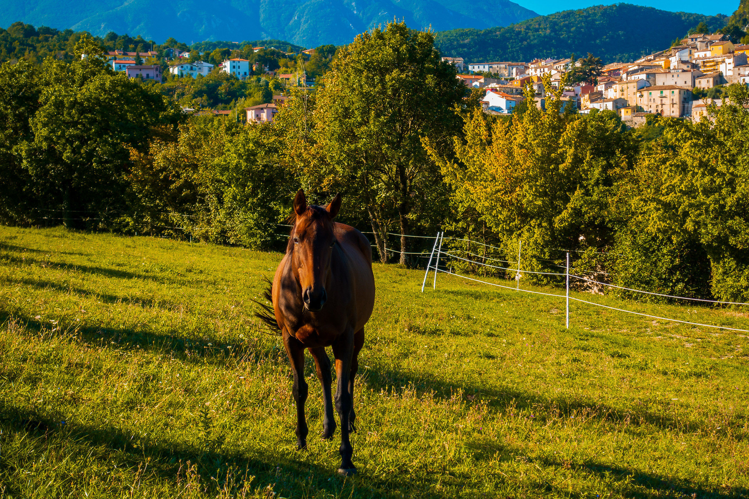 Il Cavallo Pentro, Guardiaregia