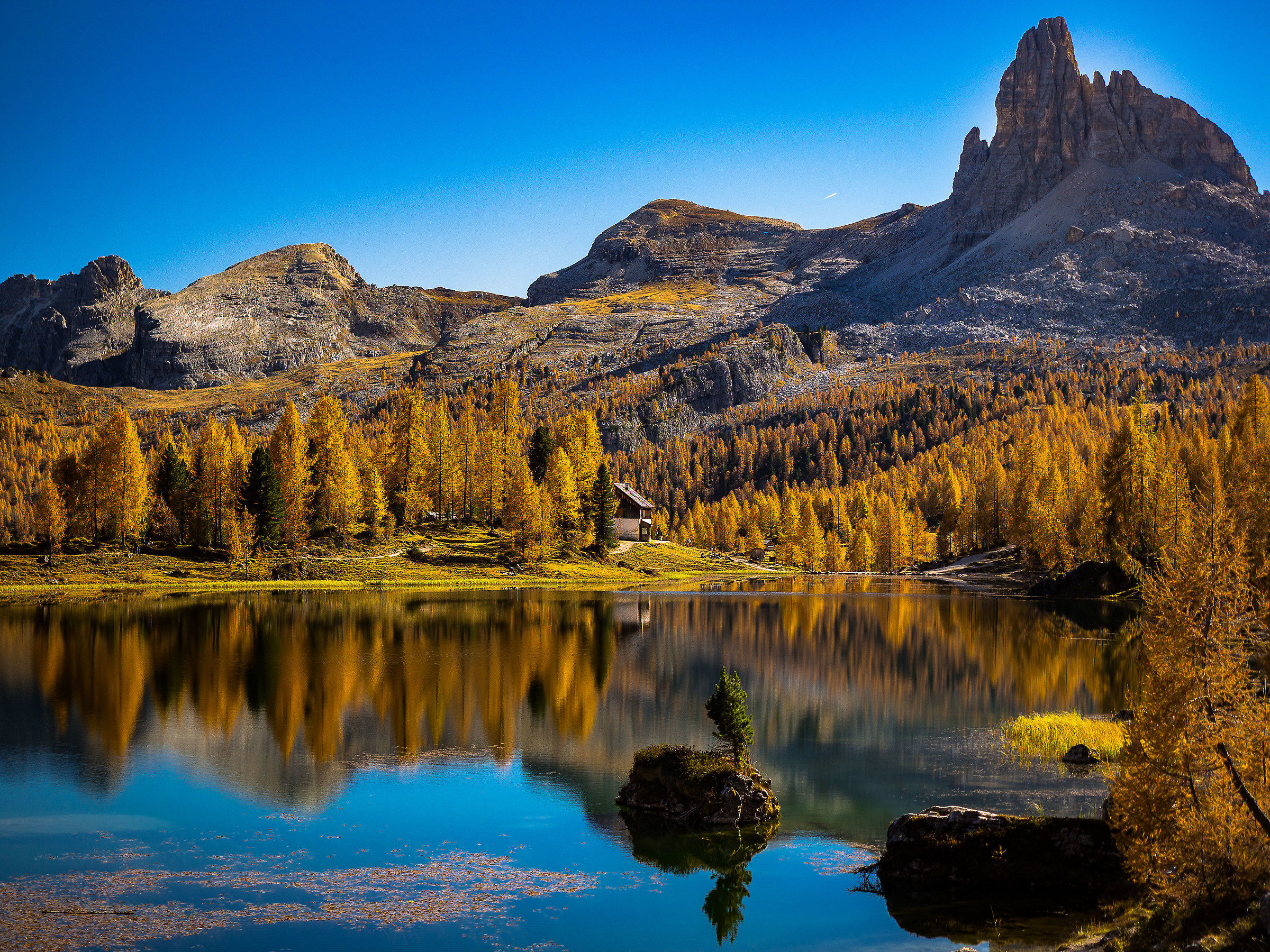 il Federa ed i suoi larici ( saranno ancora in piedi ??