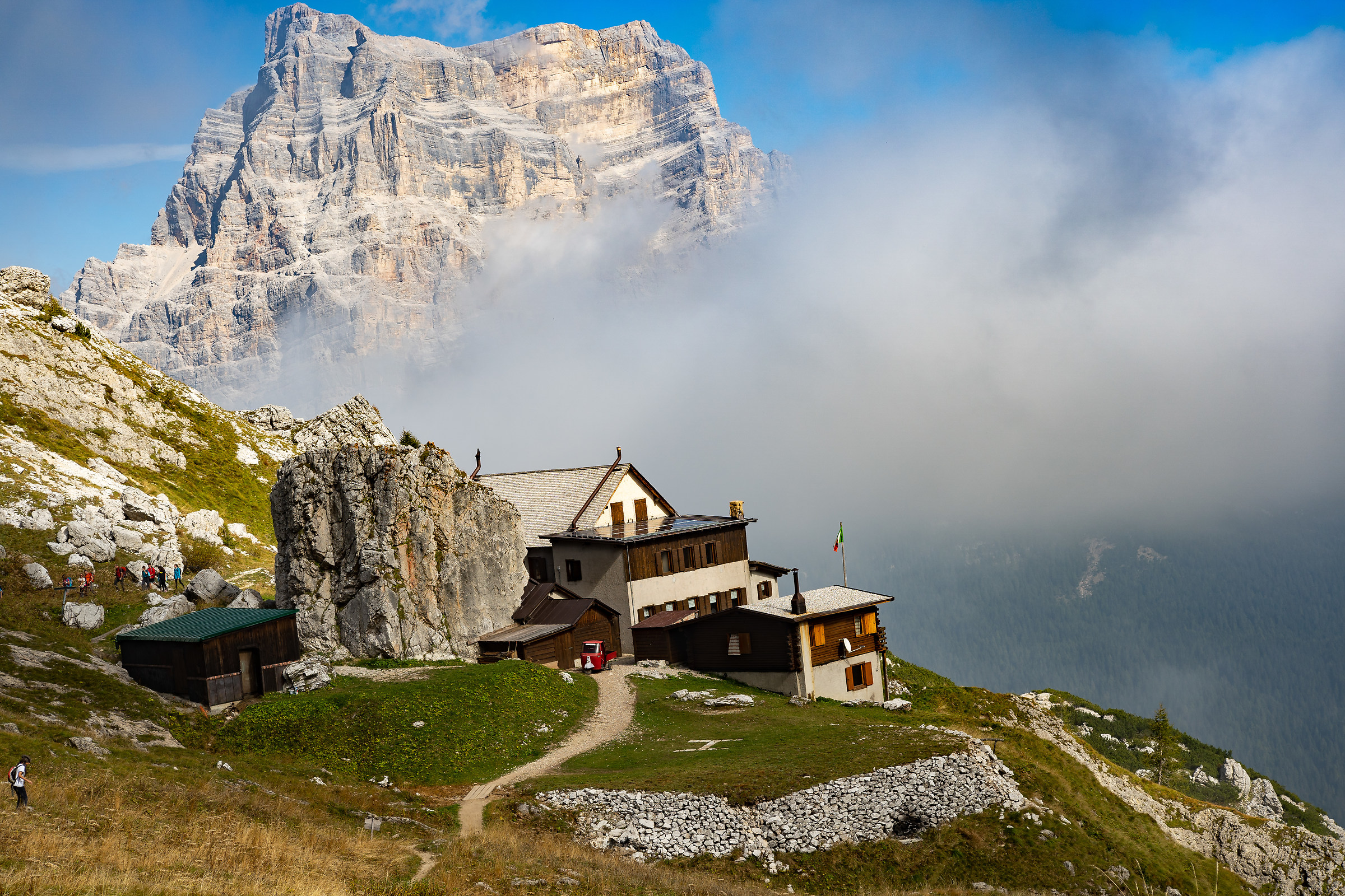 ... how did the bee come?