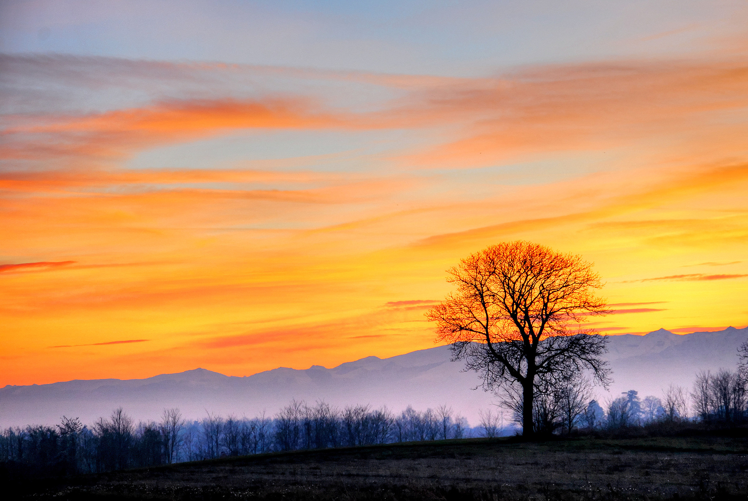 Sunset with Chemtrails