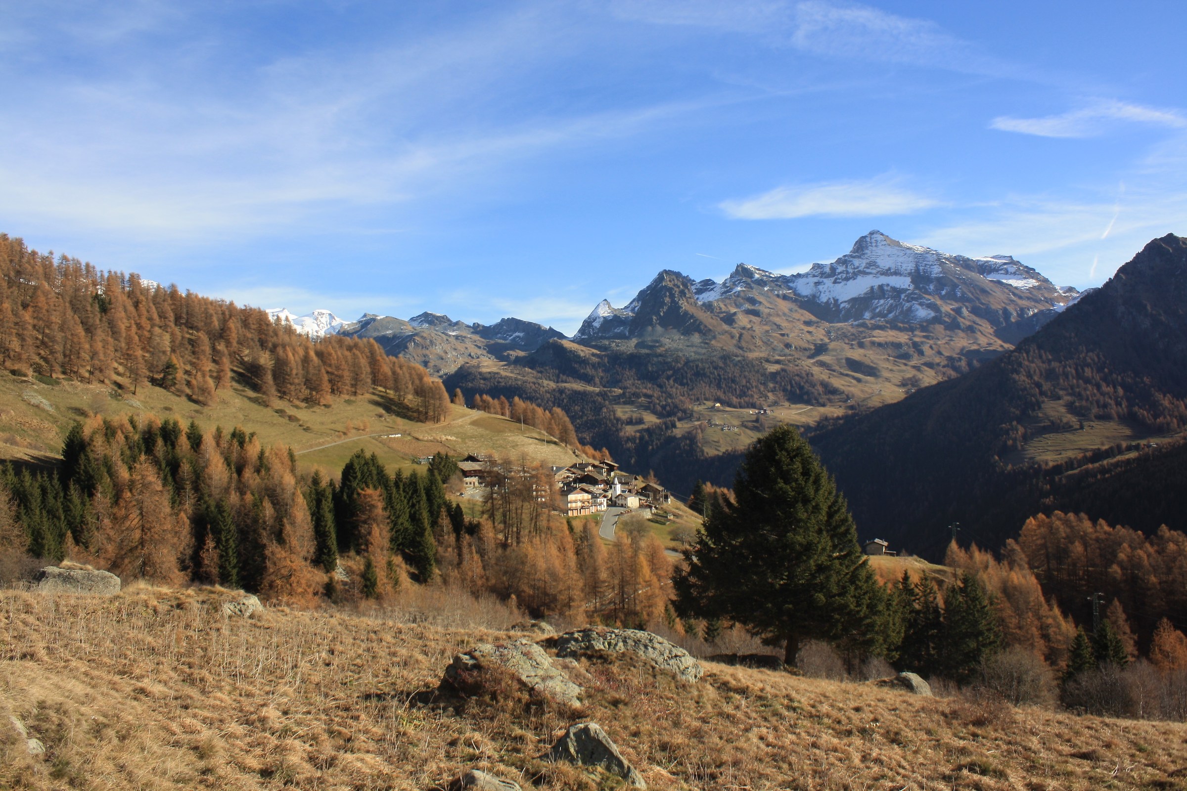 Mandrioux 1835 M-2