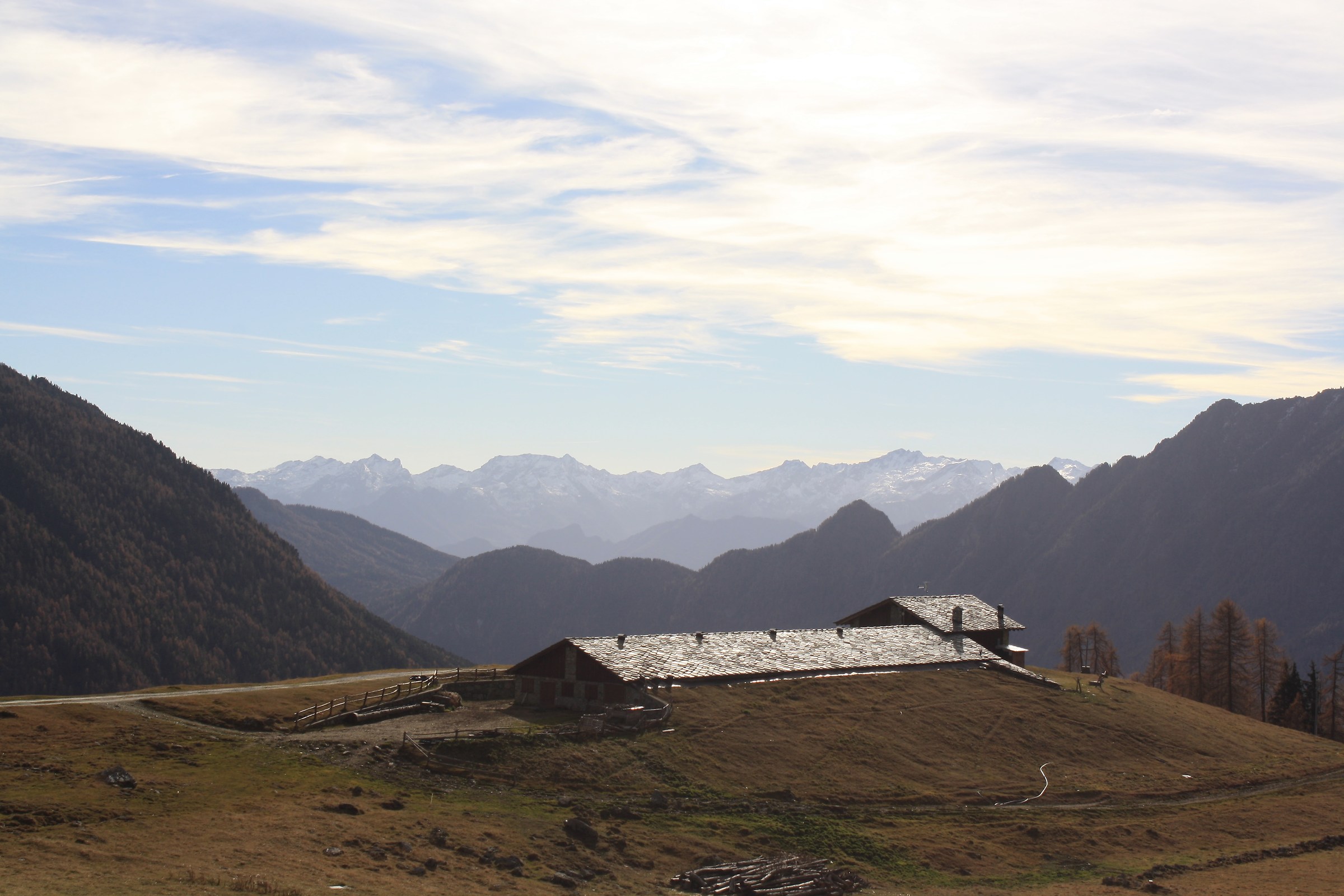 Alpe Metzan