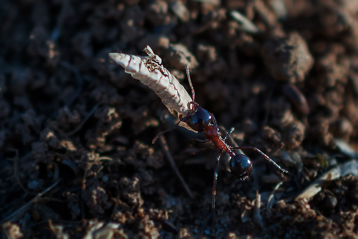 Provviste per l'inverno!!!!